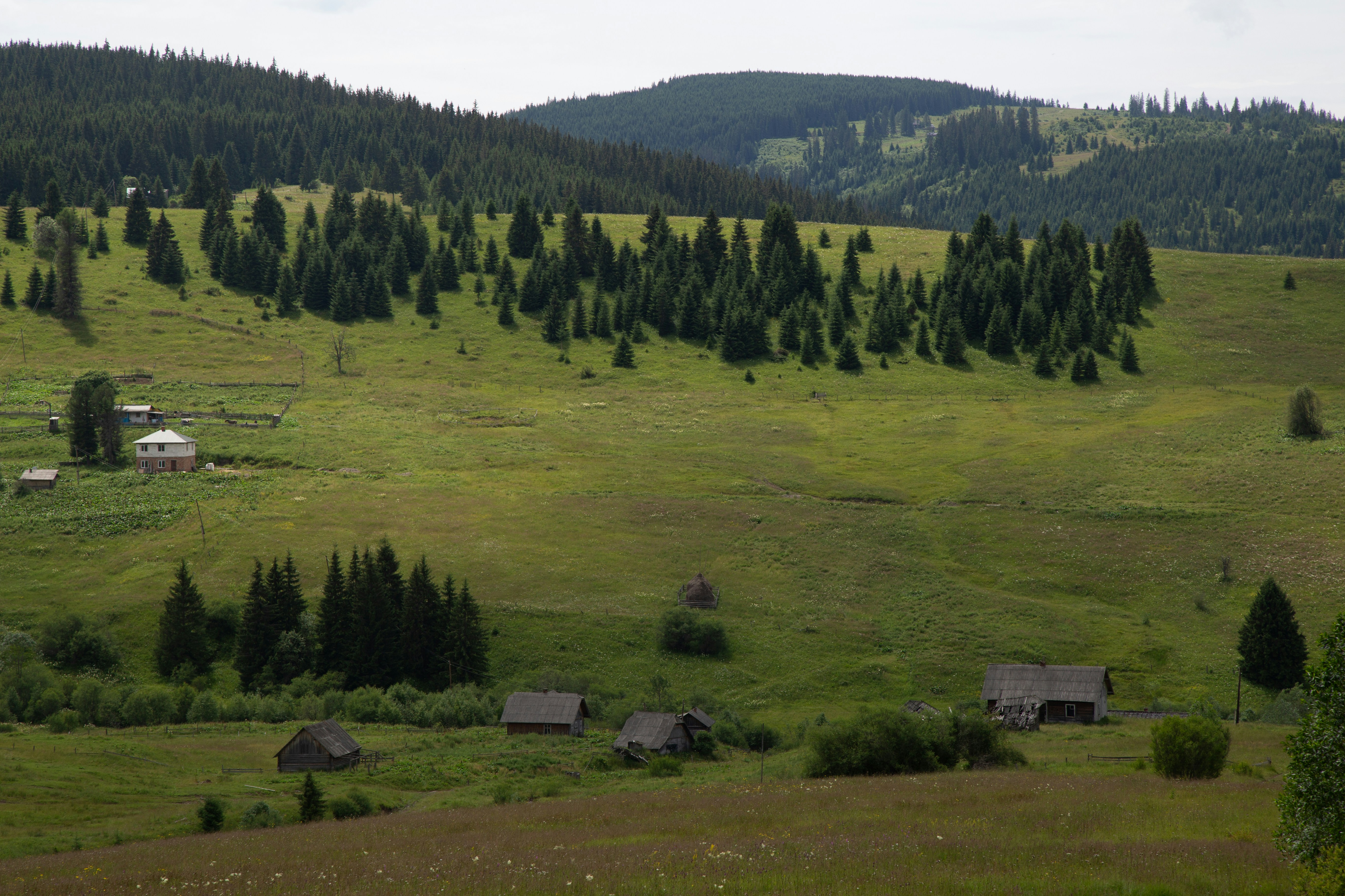 Photo by cameraobscura2000