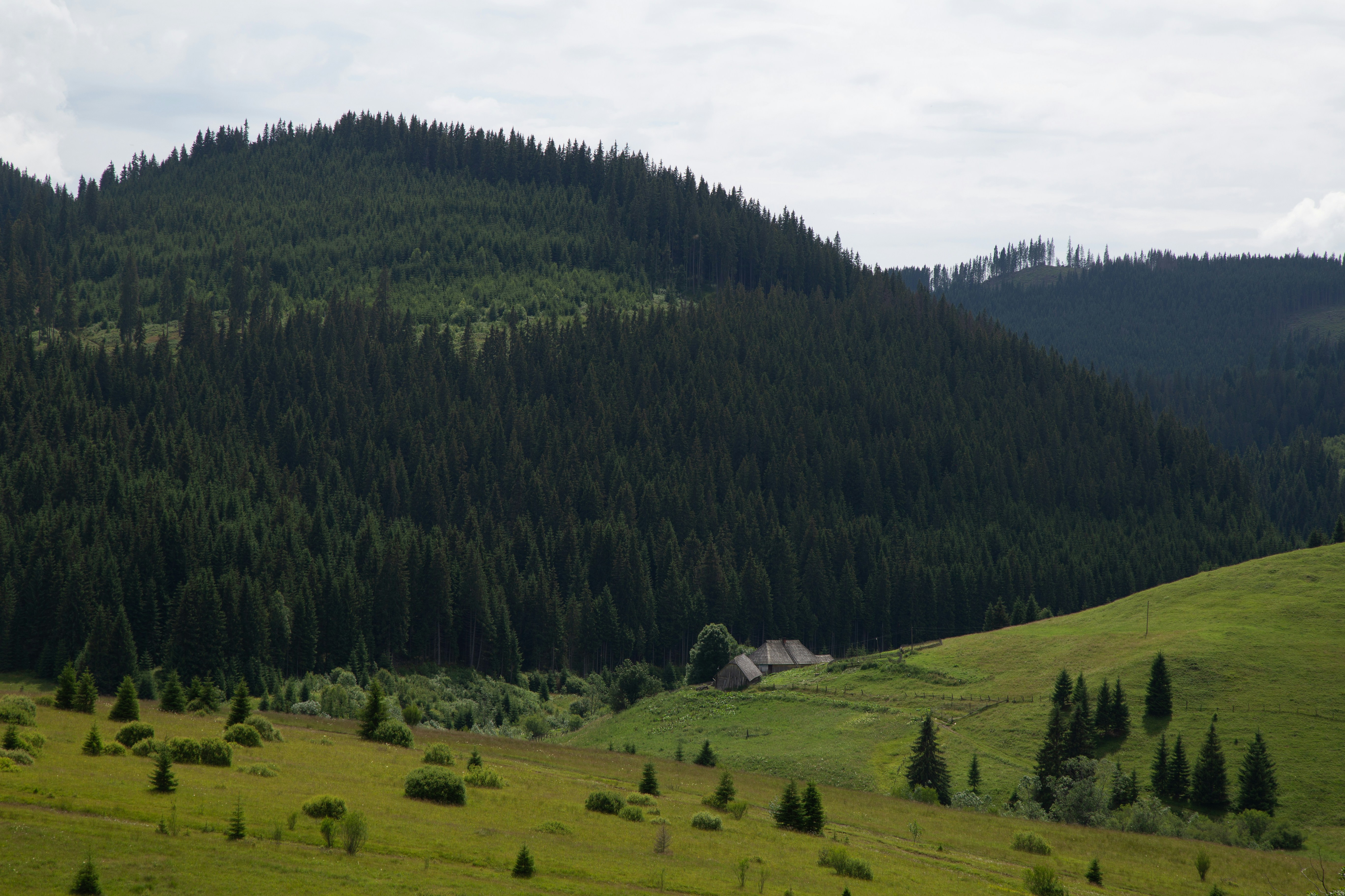 Photo by cameraobscura2000