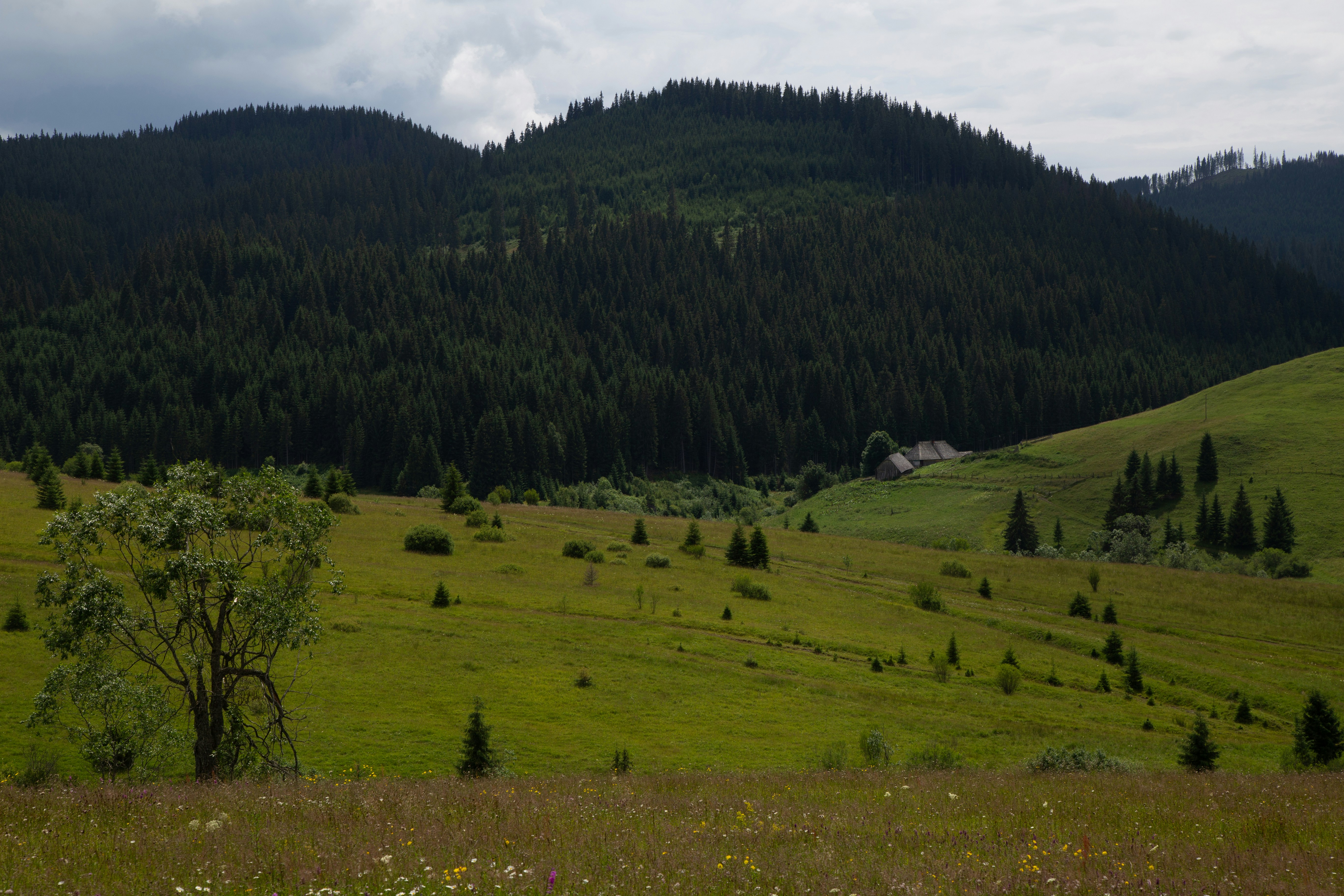 Photo by cameraobscura2000