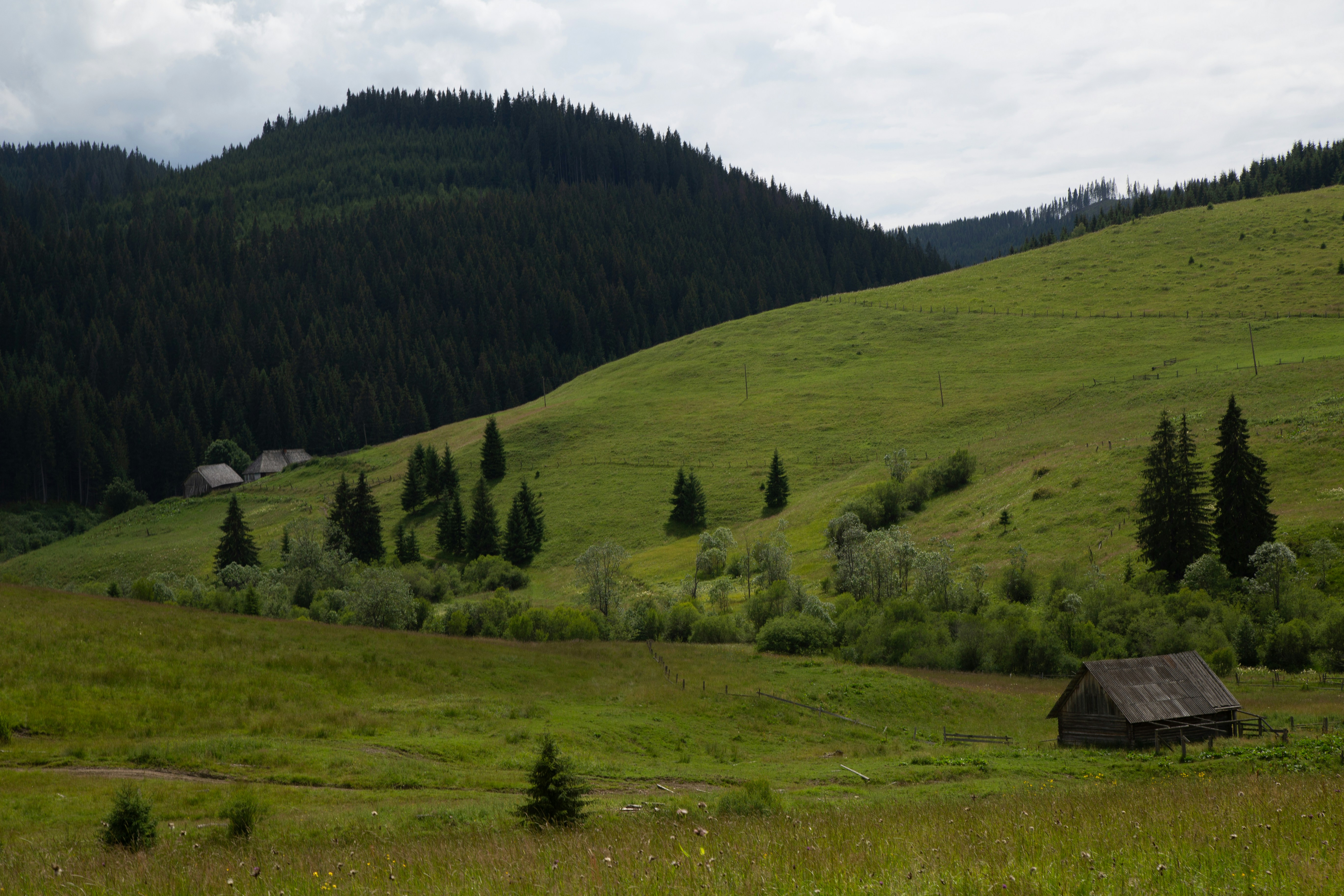 Photo by cameraobscura2000