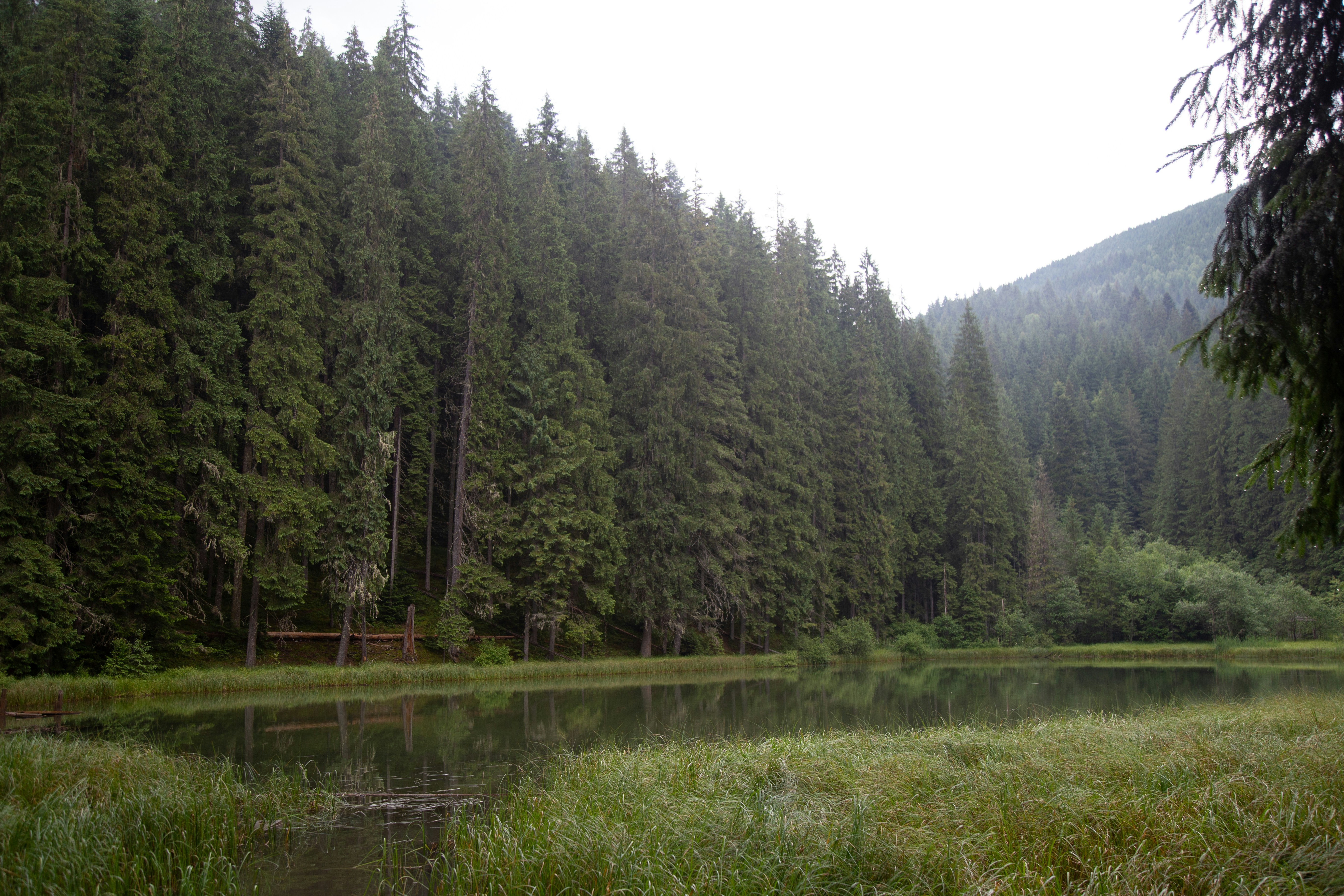 Photo by cameraobscura2000