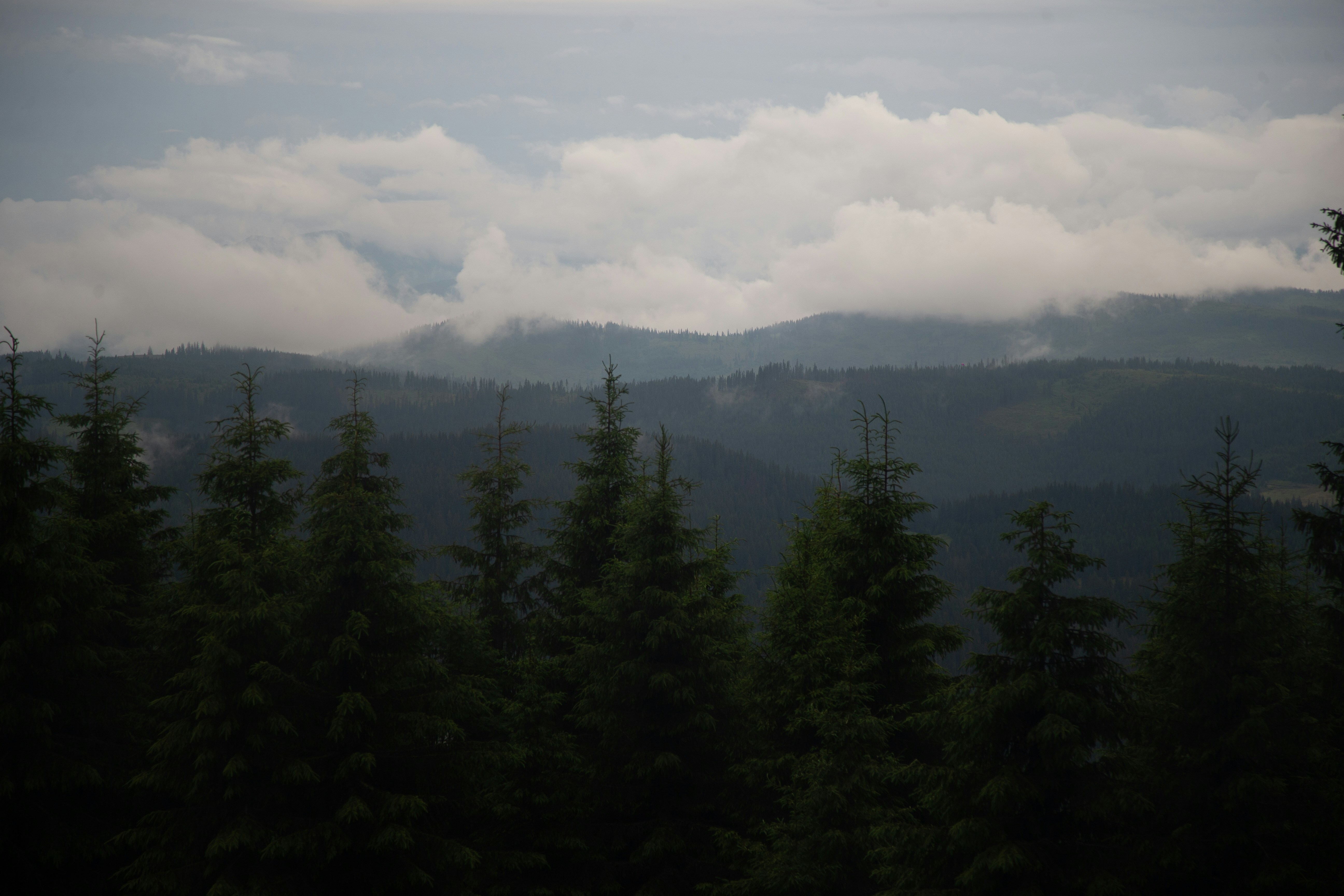 Photo by cameraobscura2000