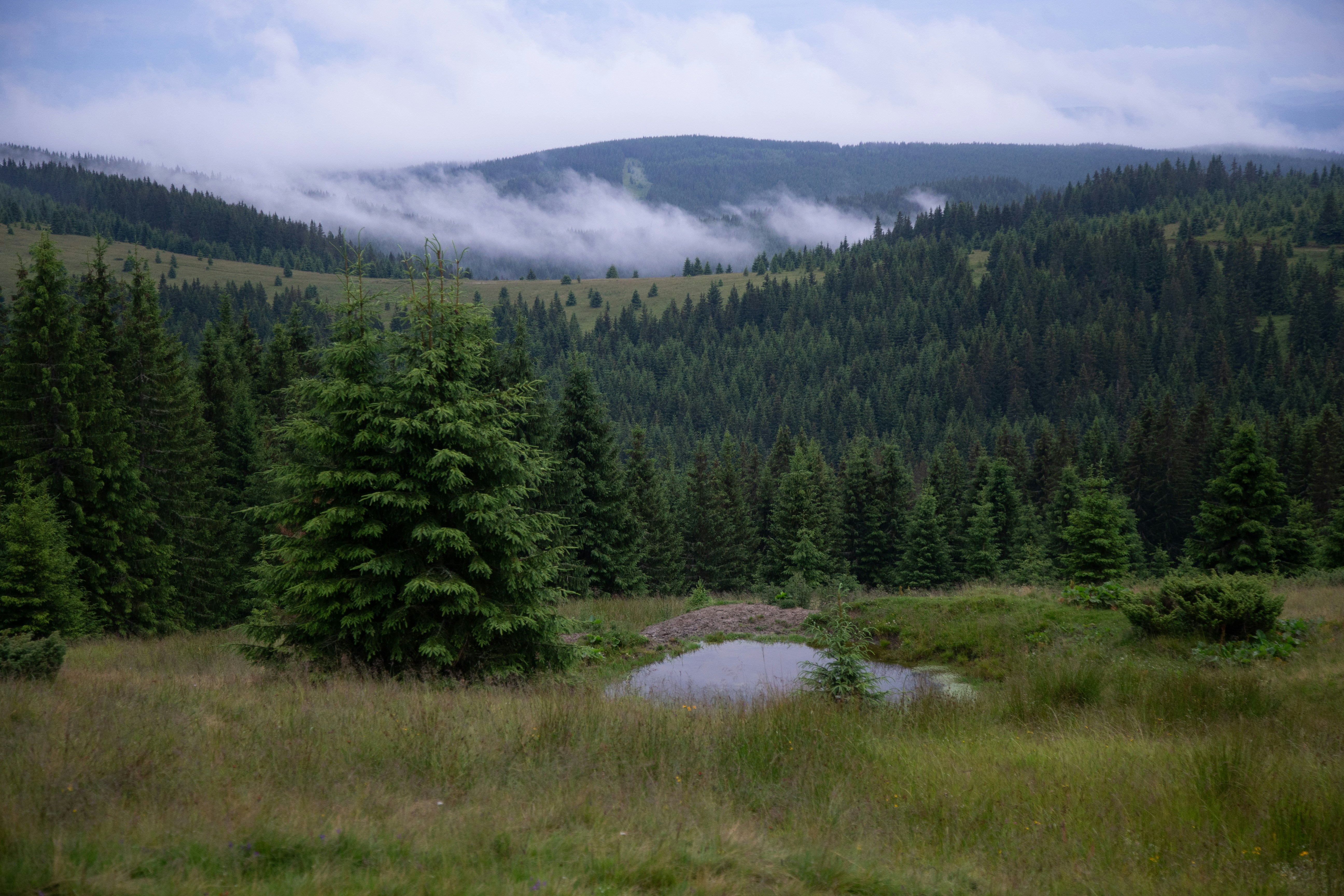 Photo by cameraobscura2000