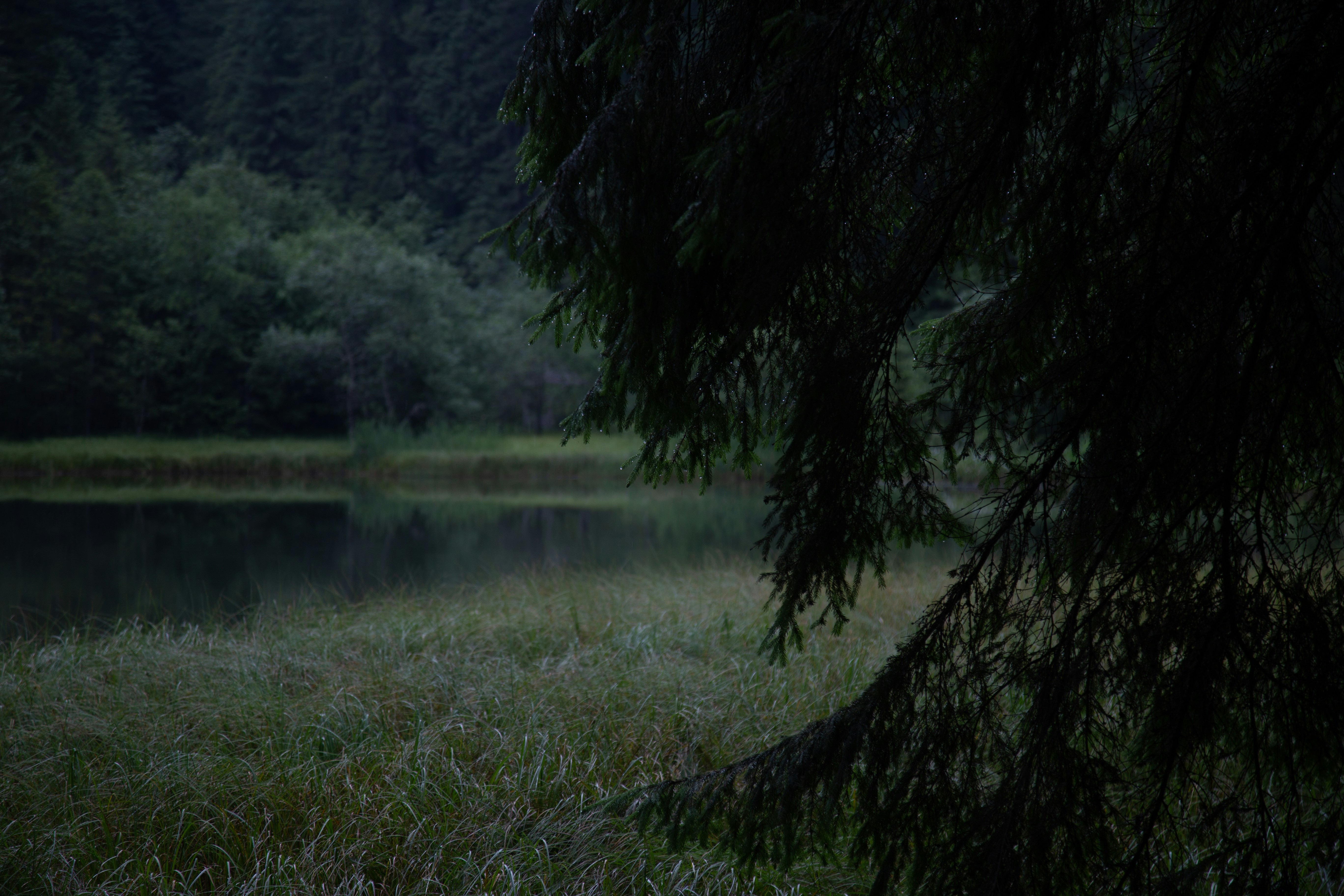 Photo by cameraobscura2000