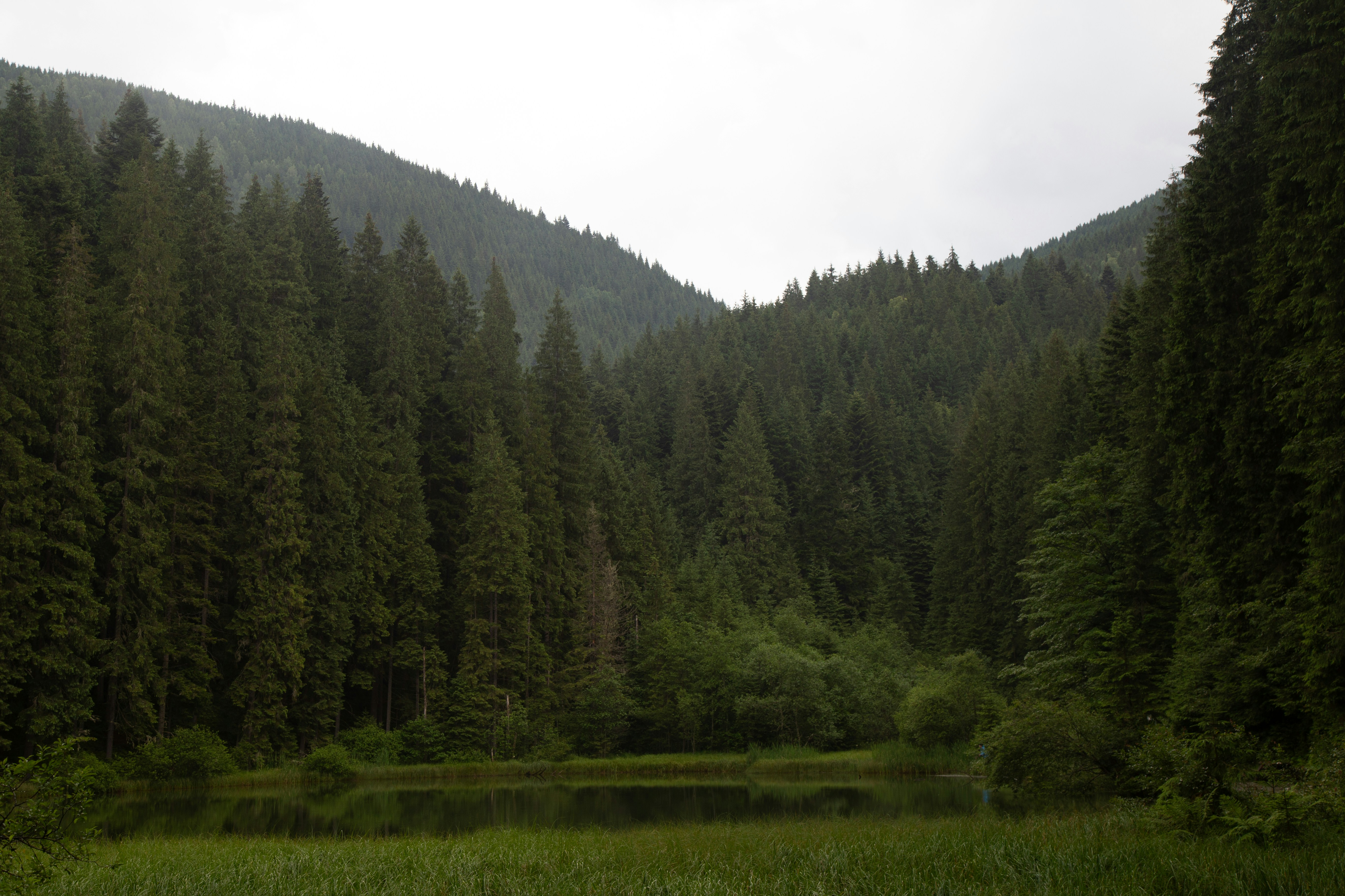 Photo by cameraobscura2000