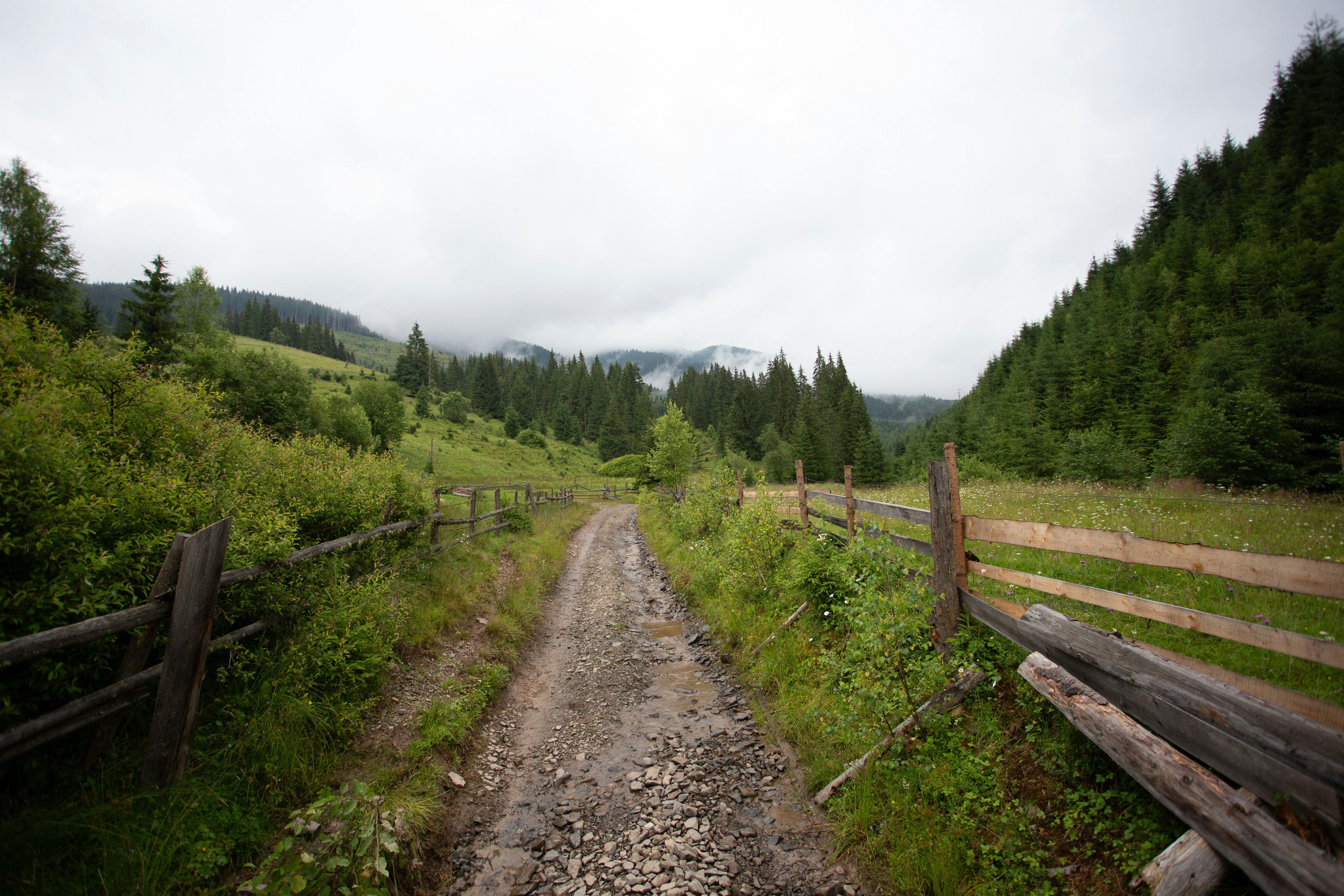 Photo by cameraobscura2000