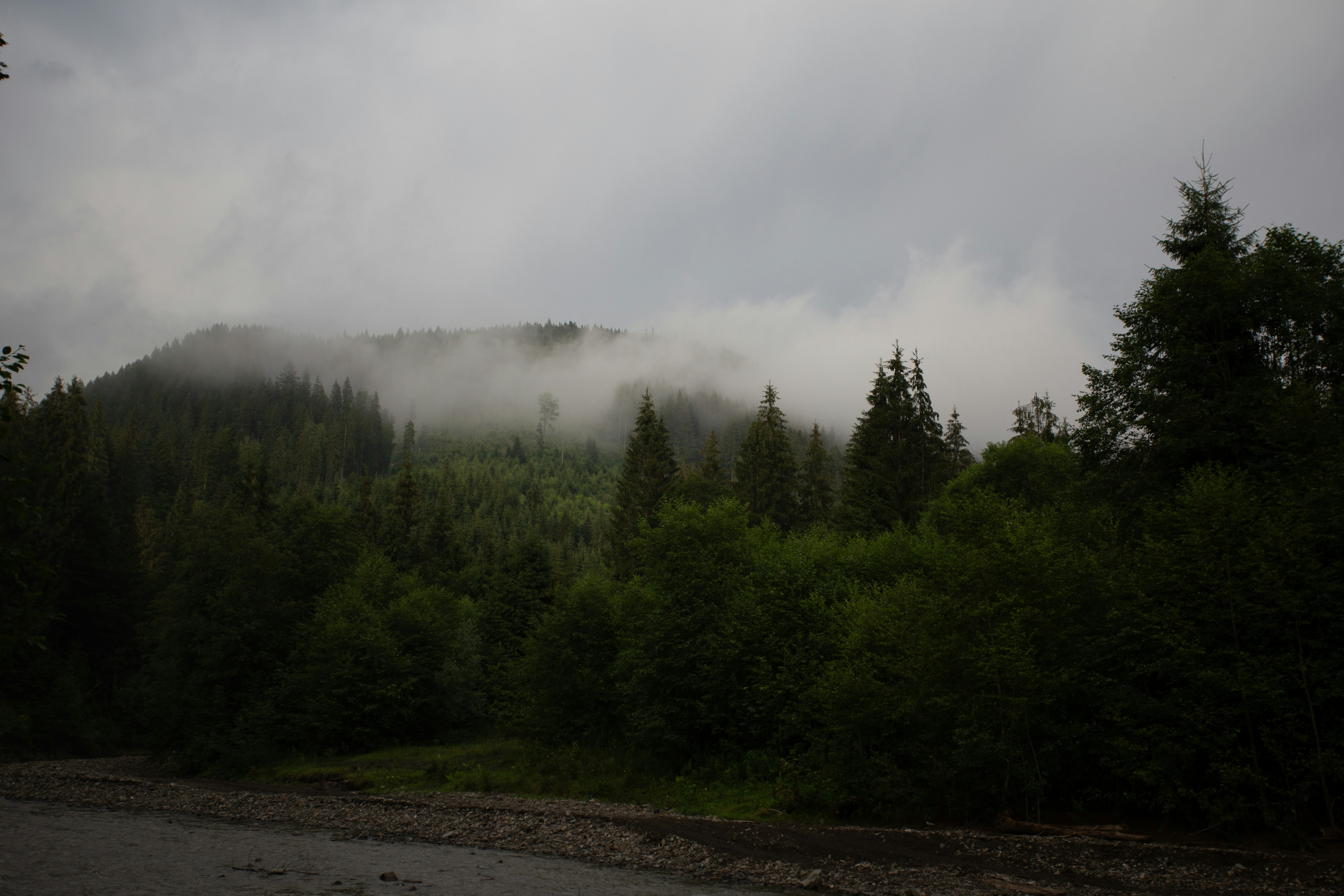 Photo by cameraobscura2000