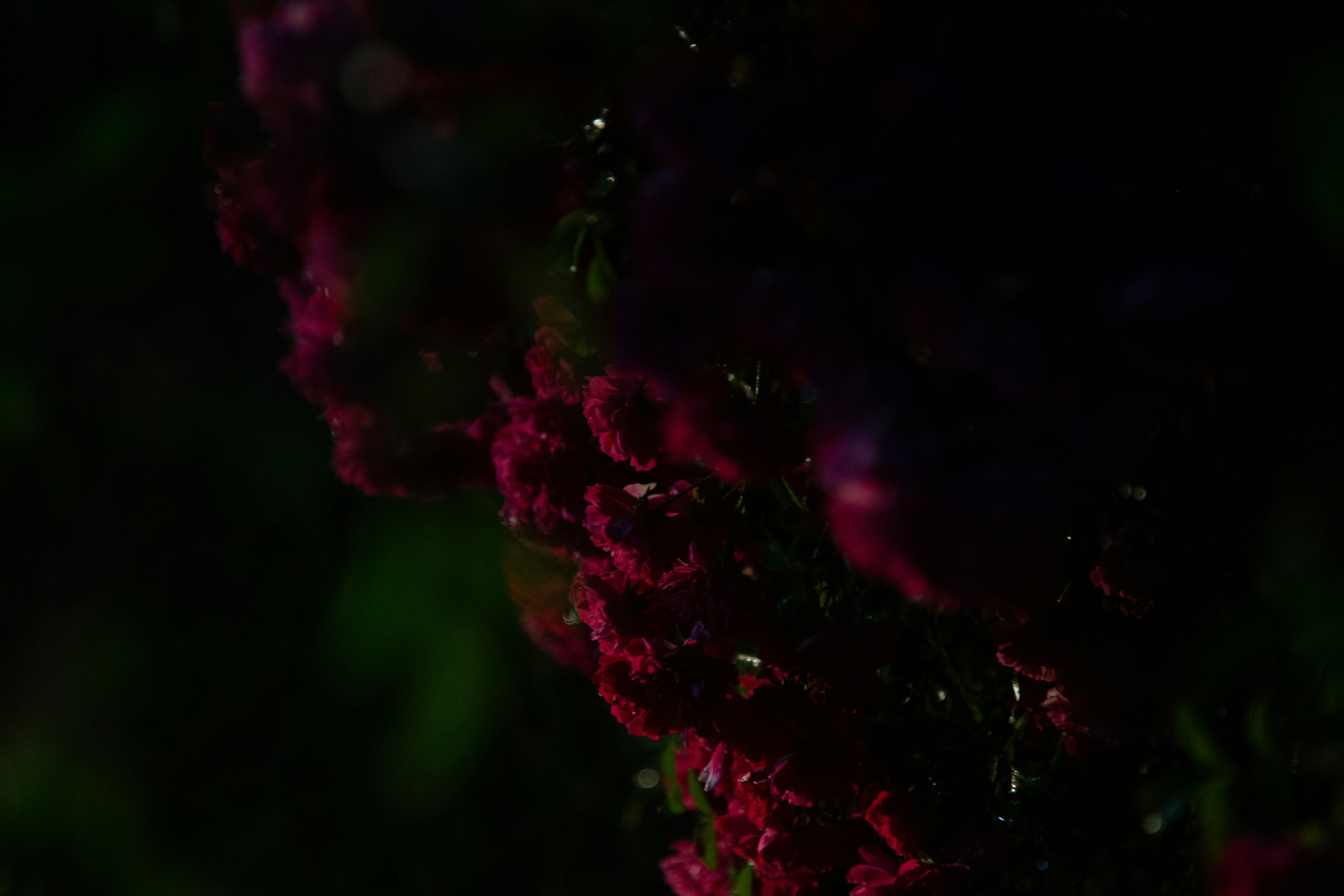 Photo by cameraobscura2000