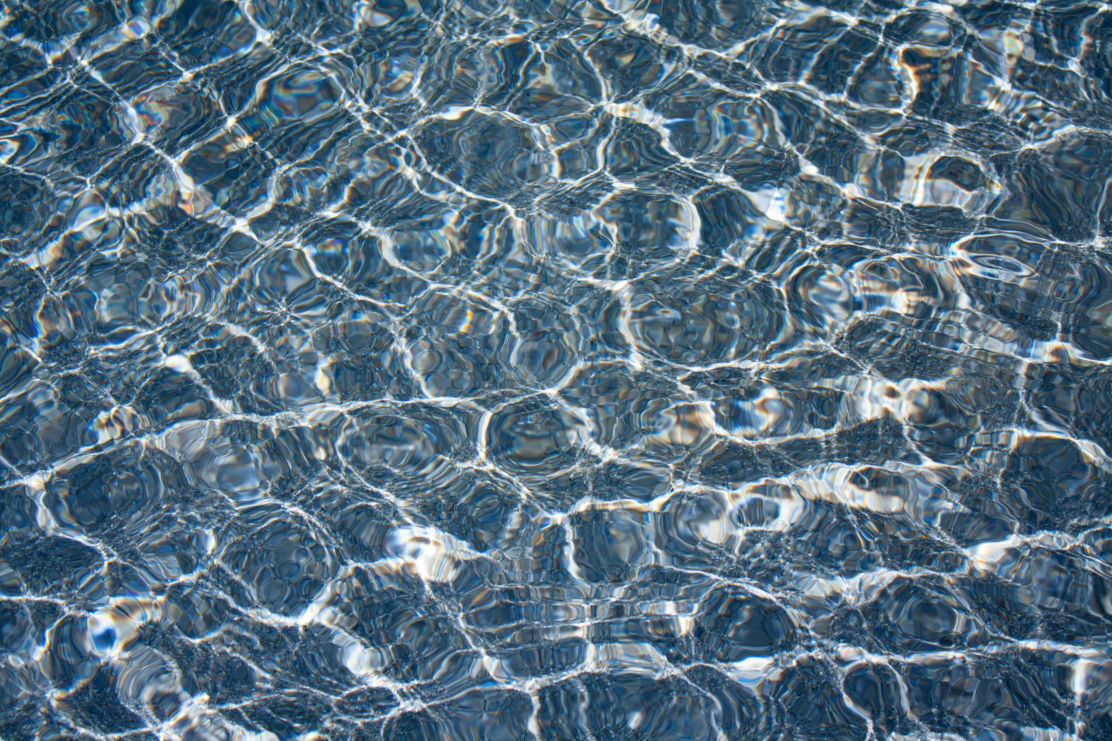 Photo by thelaibaali