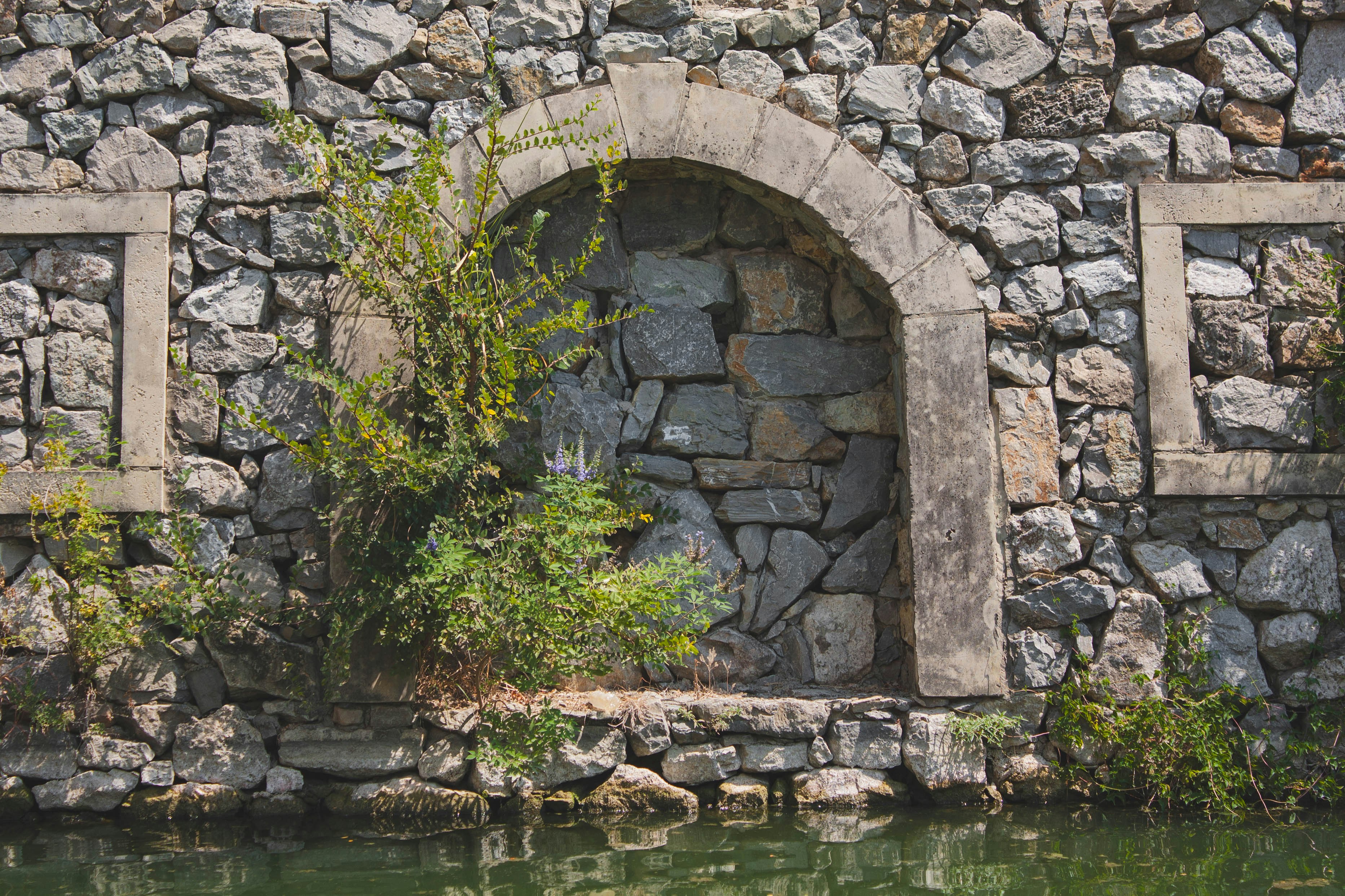 Photo by thelaibaali