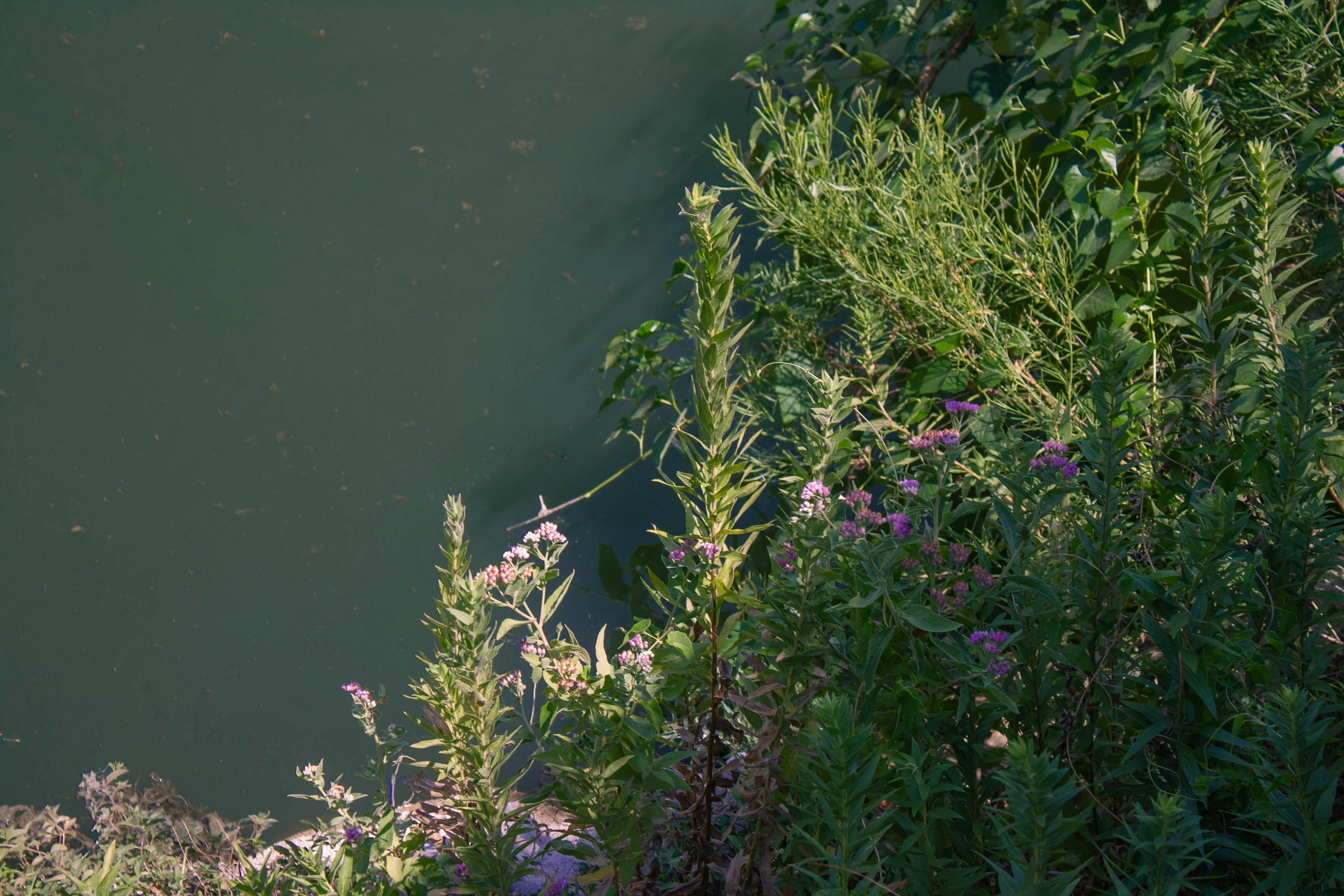 Photo by thelaibaali