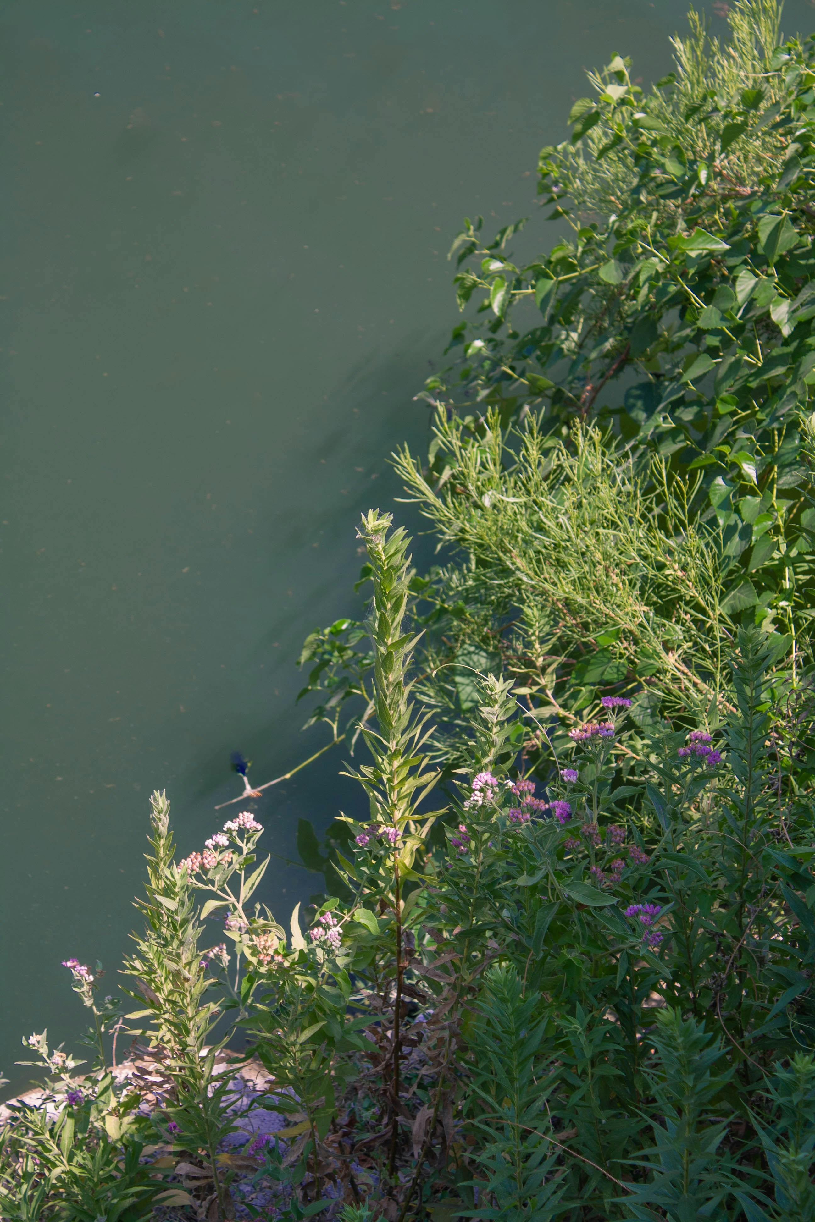 Photo by thelaibaali