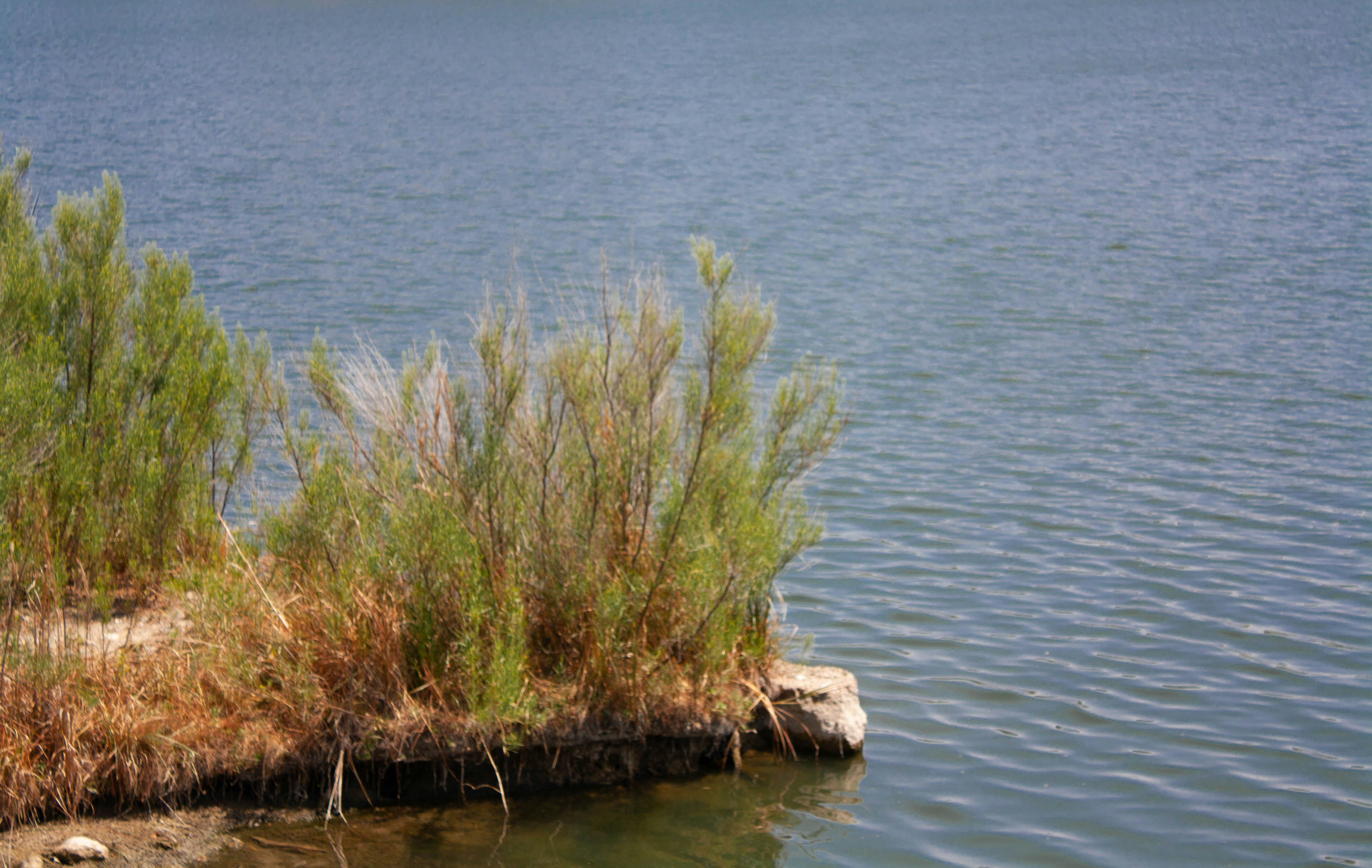 Photo by thelaibaali