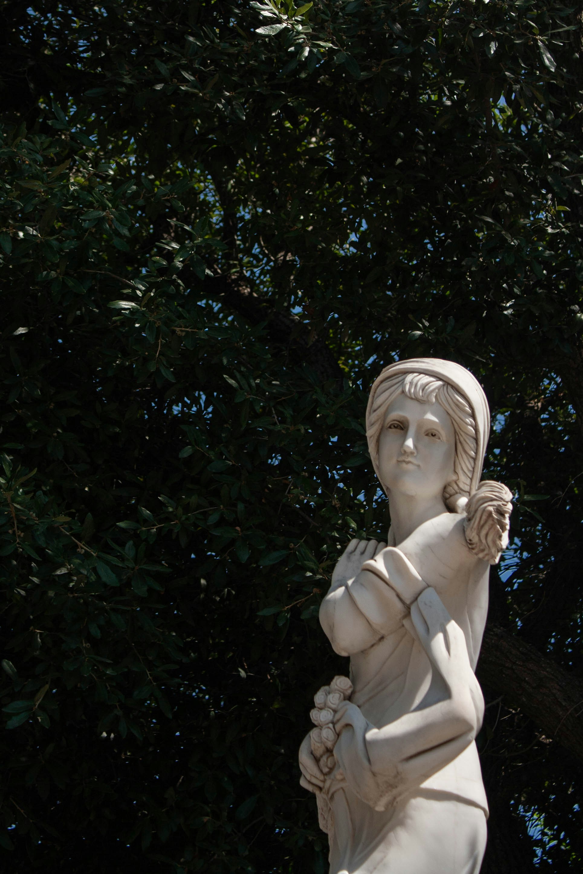 Photo by thelaibaali