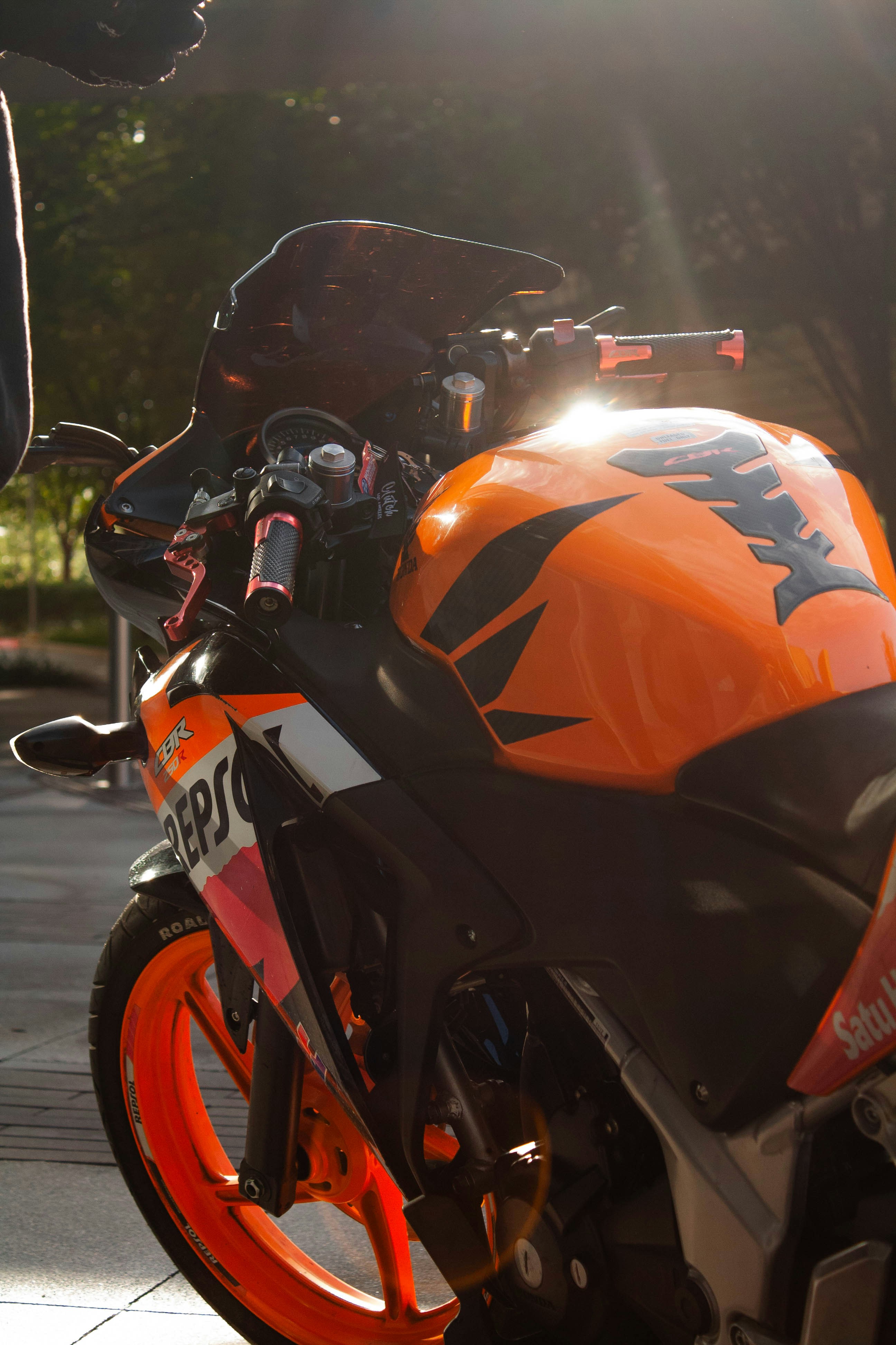 Photo by thelaibaali