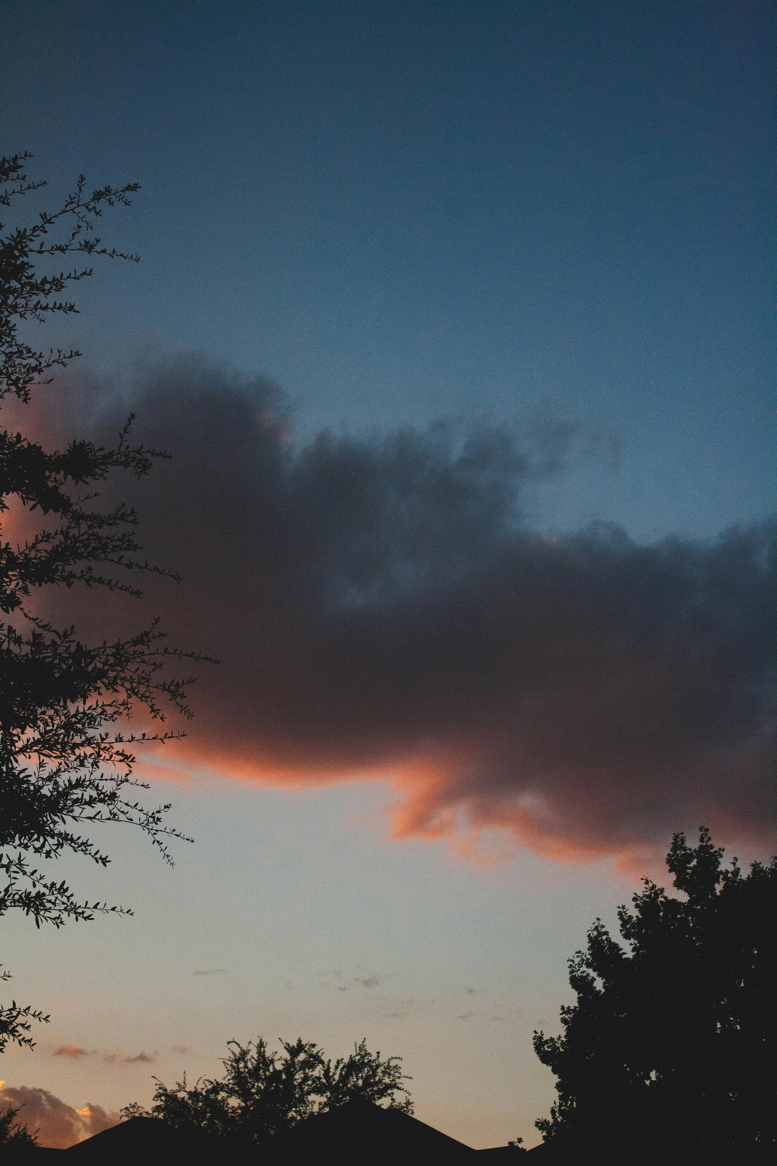 Photo by thelaibaali