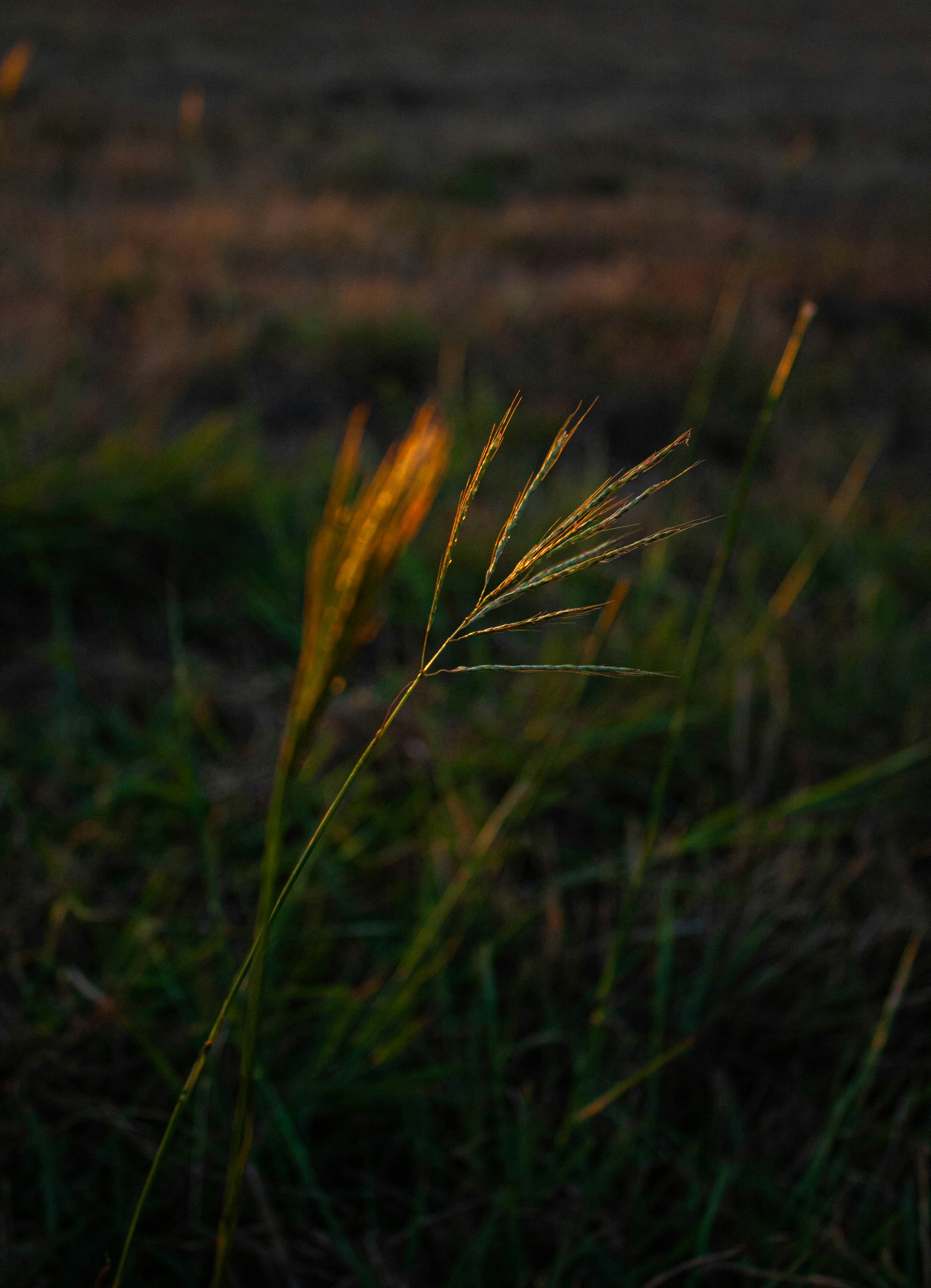 Photo by thelaibaali