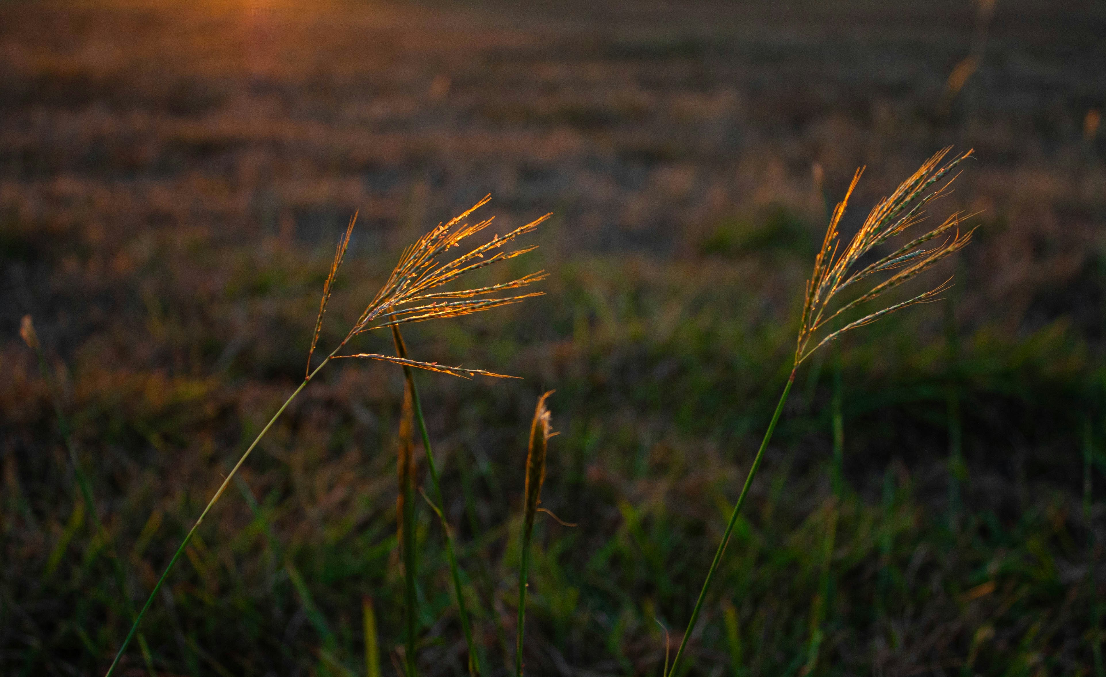 Photo by thelaibaali