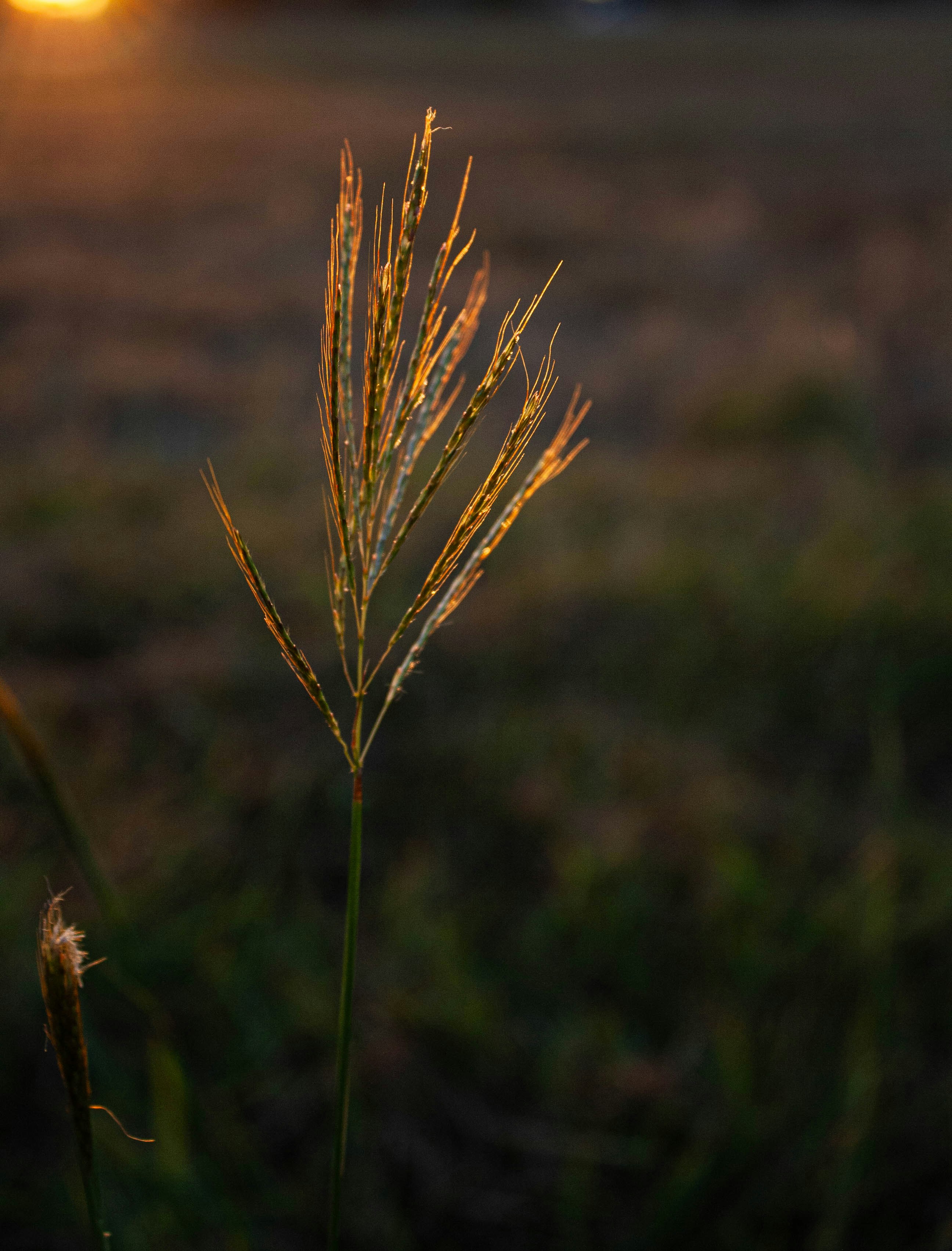 Photo by thelaibaali