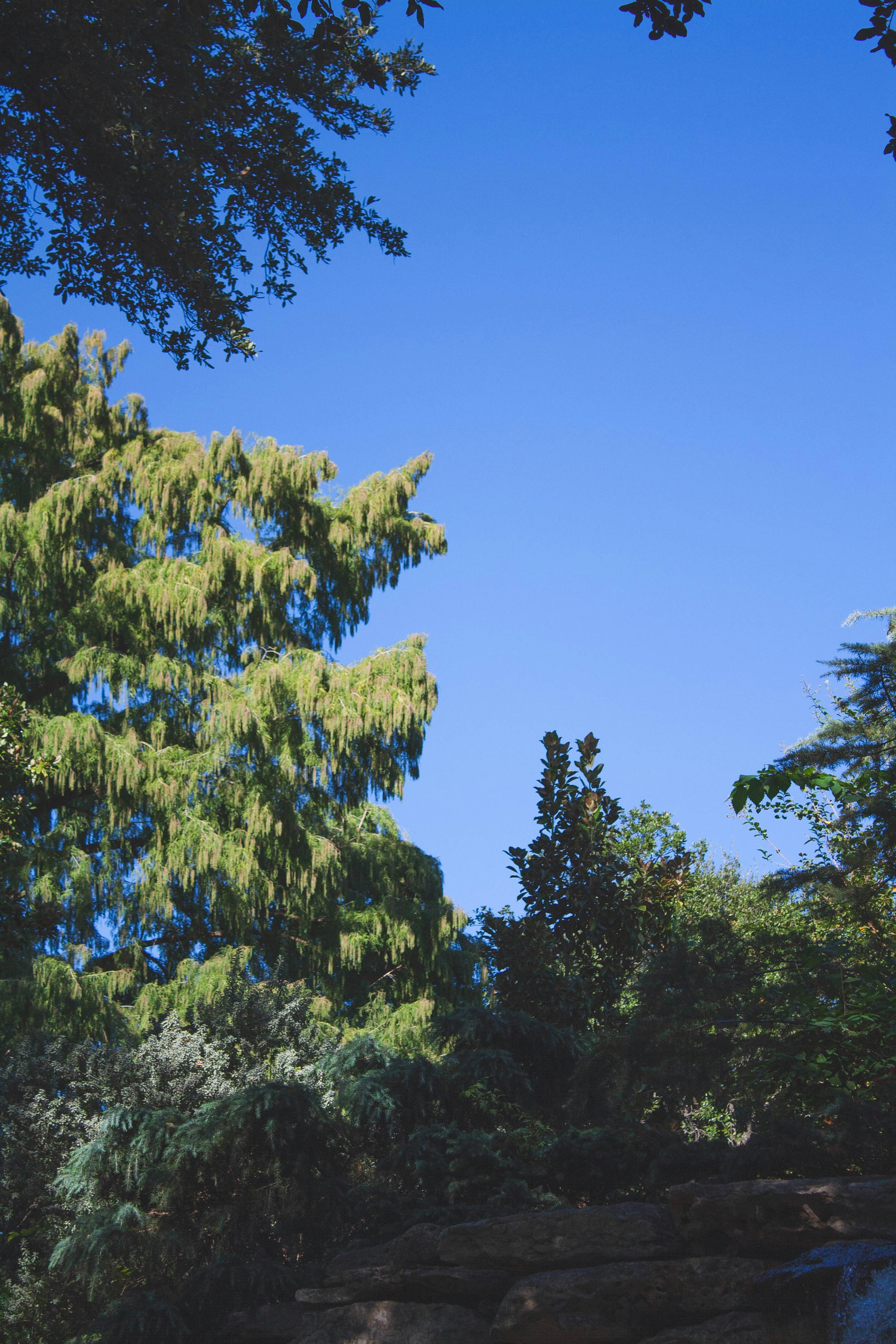 Photo by thelaibaali