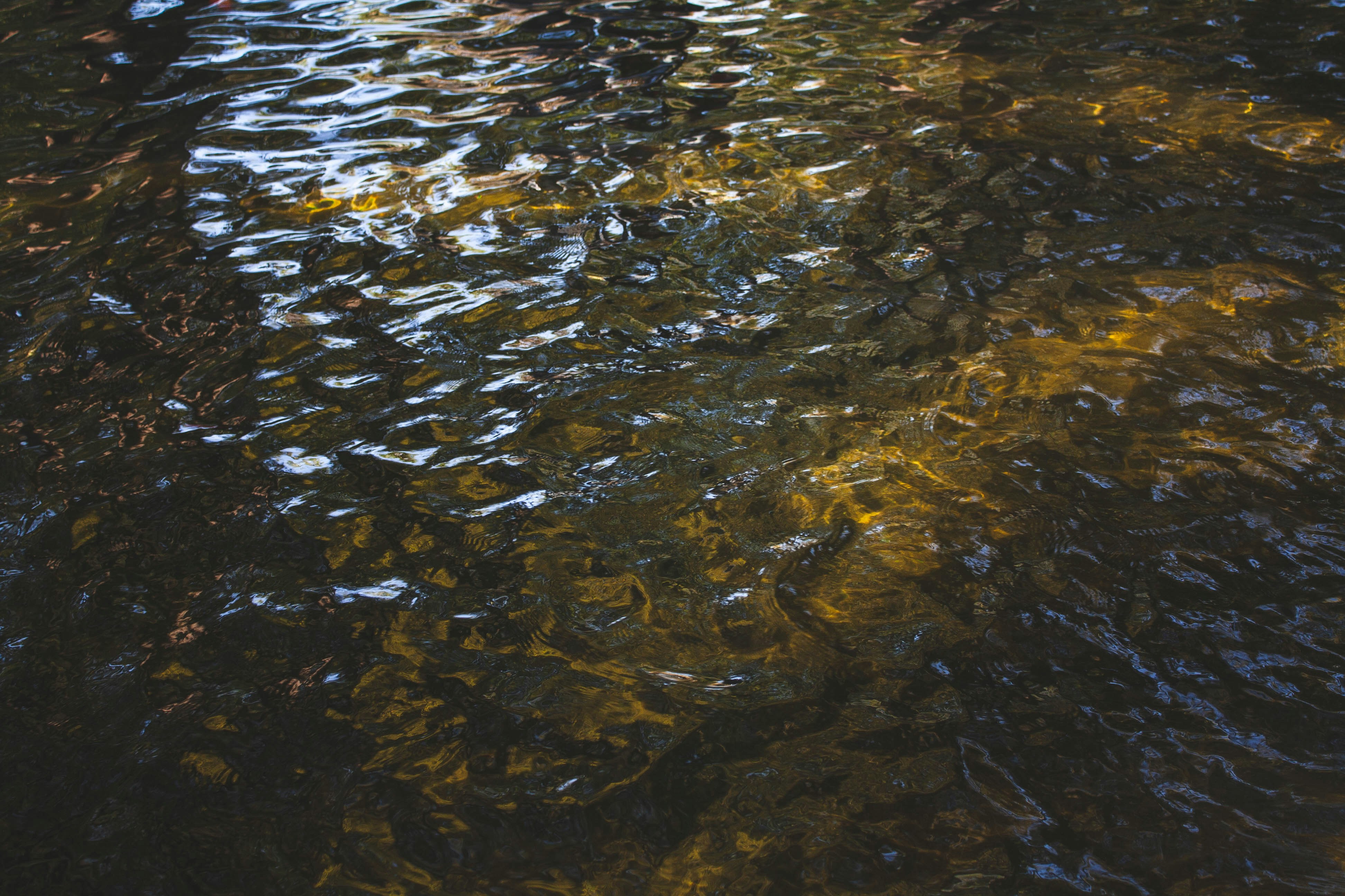 Photo by thelaibaali