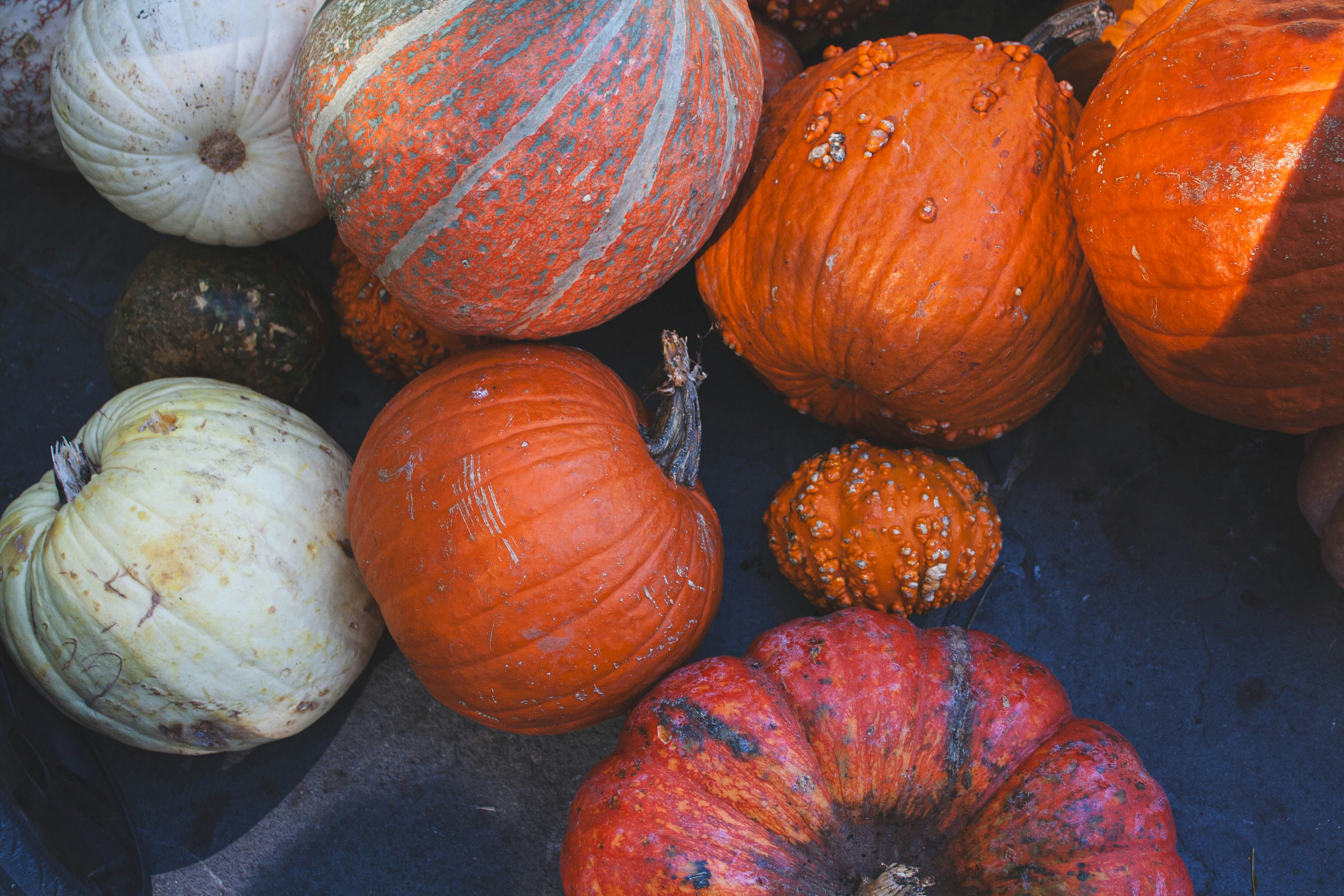 Photo by thelaibaali