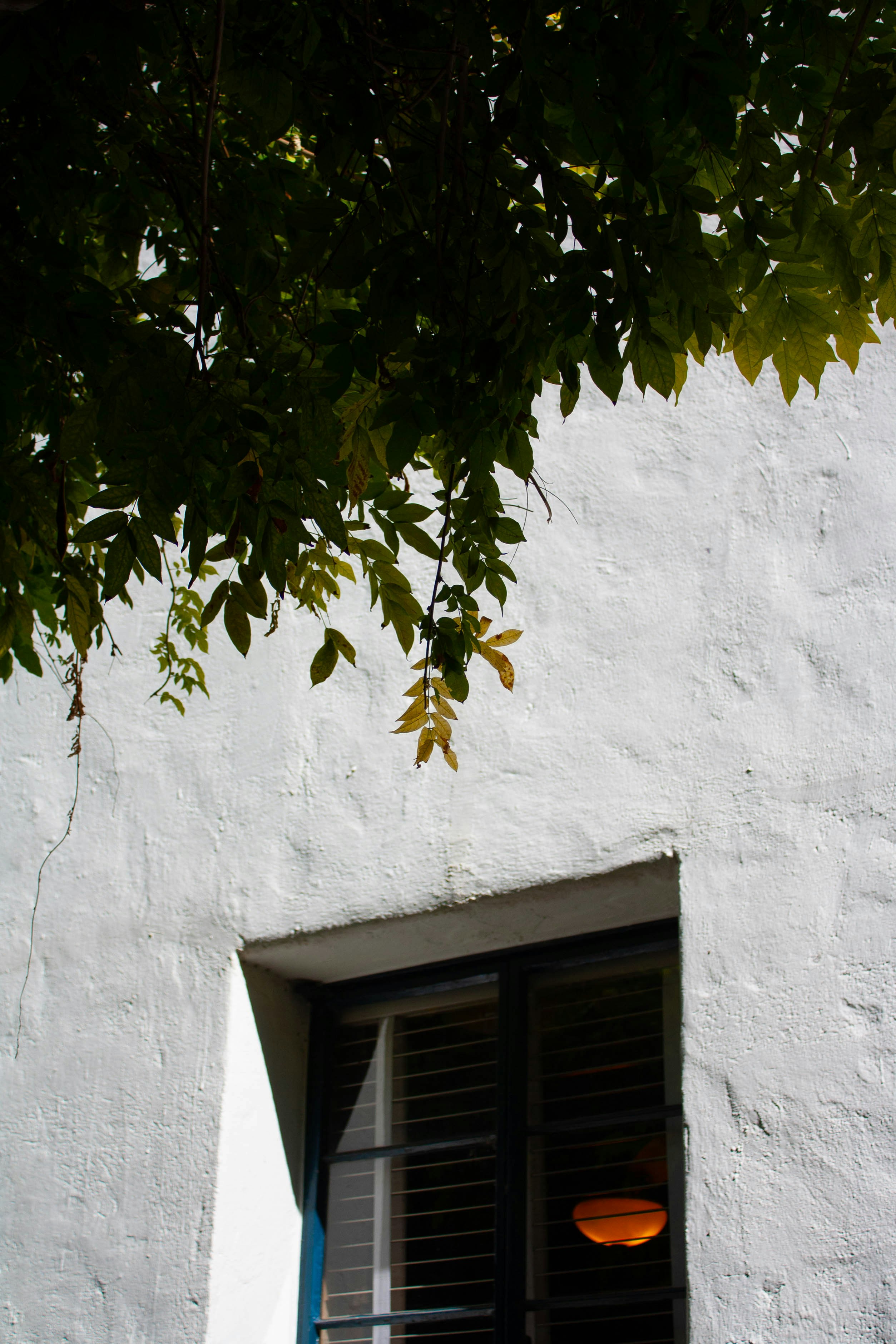 Photo by thelaibaali