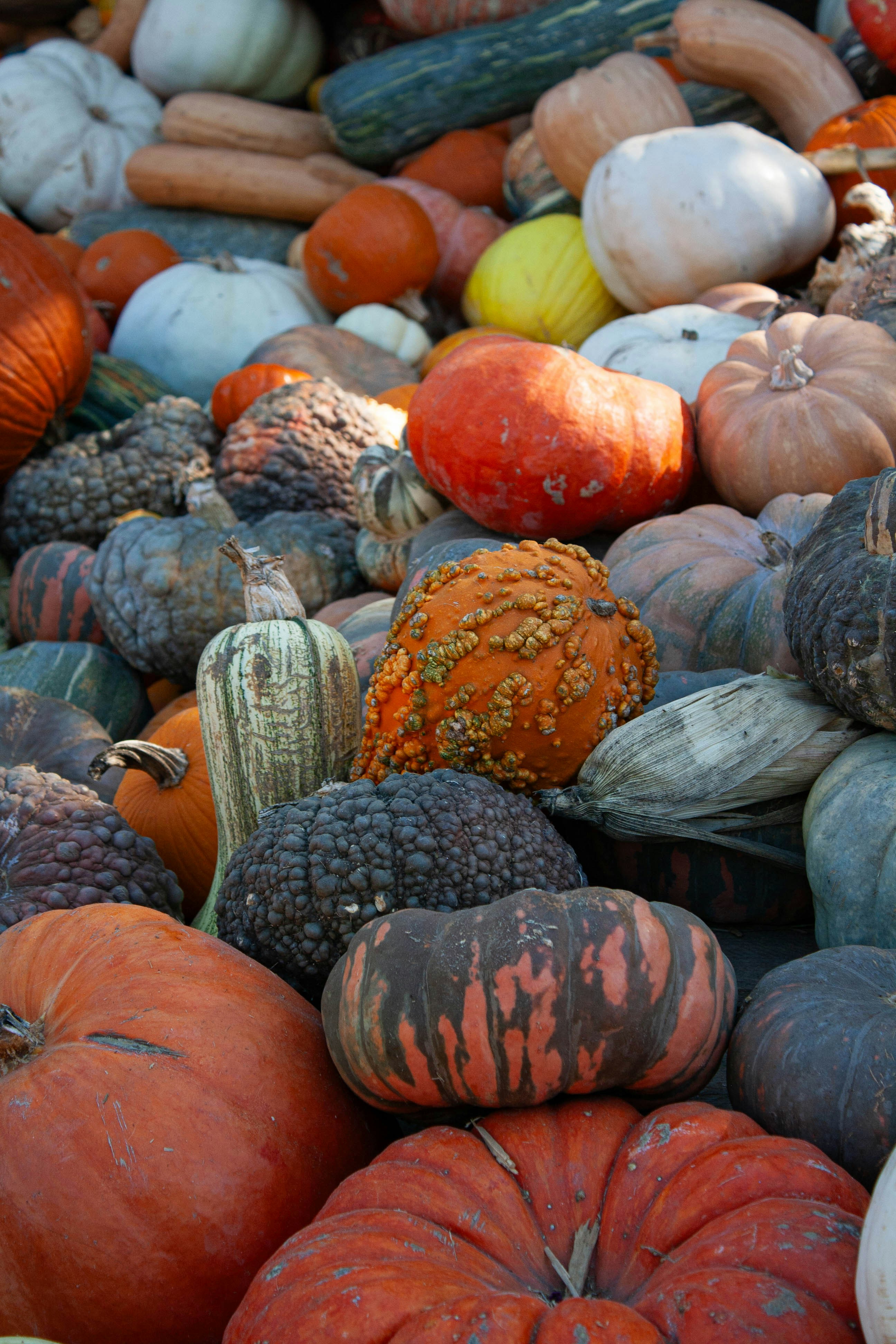 Photo by thelaibaali