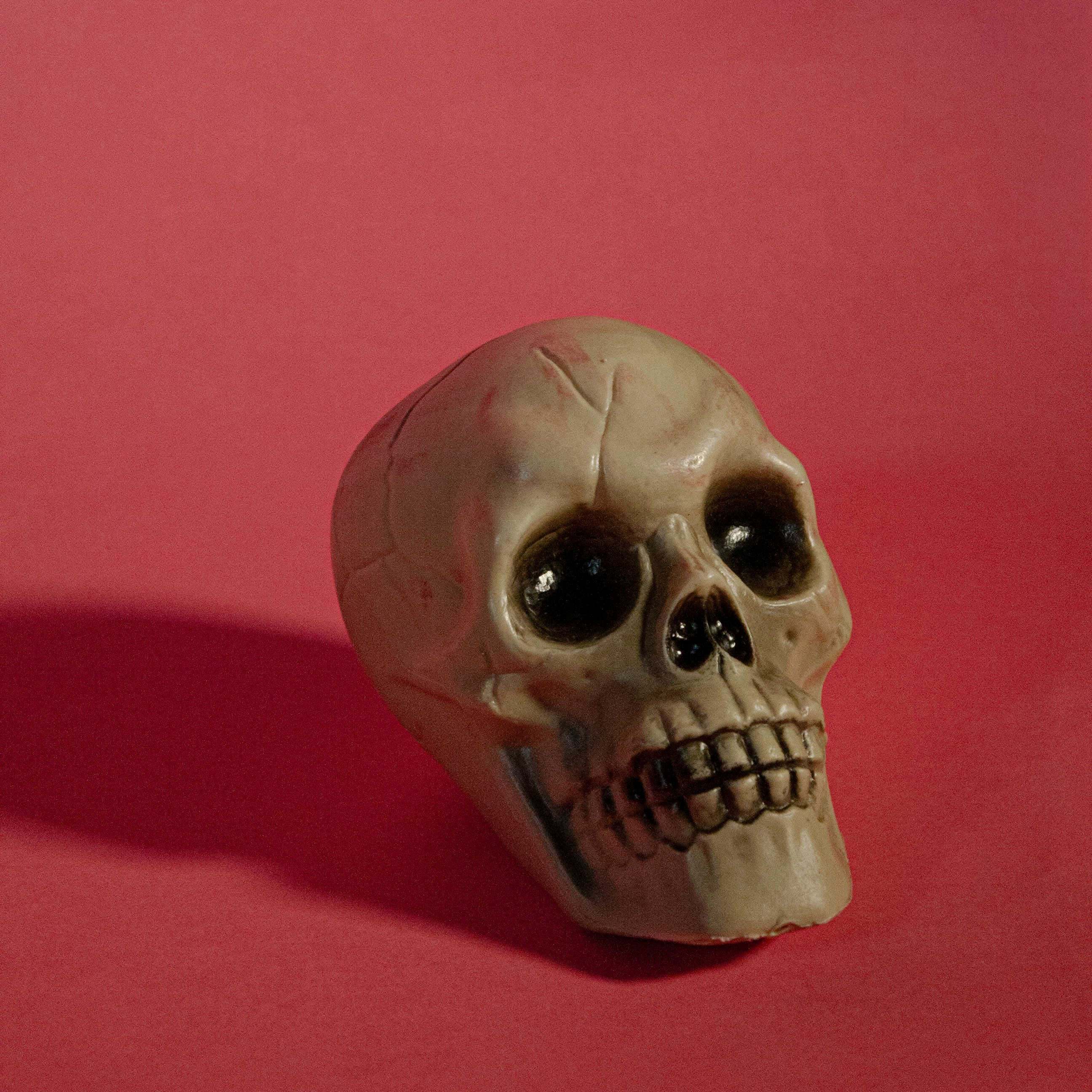 Photo by thelaibaali