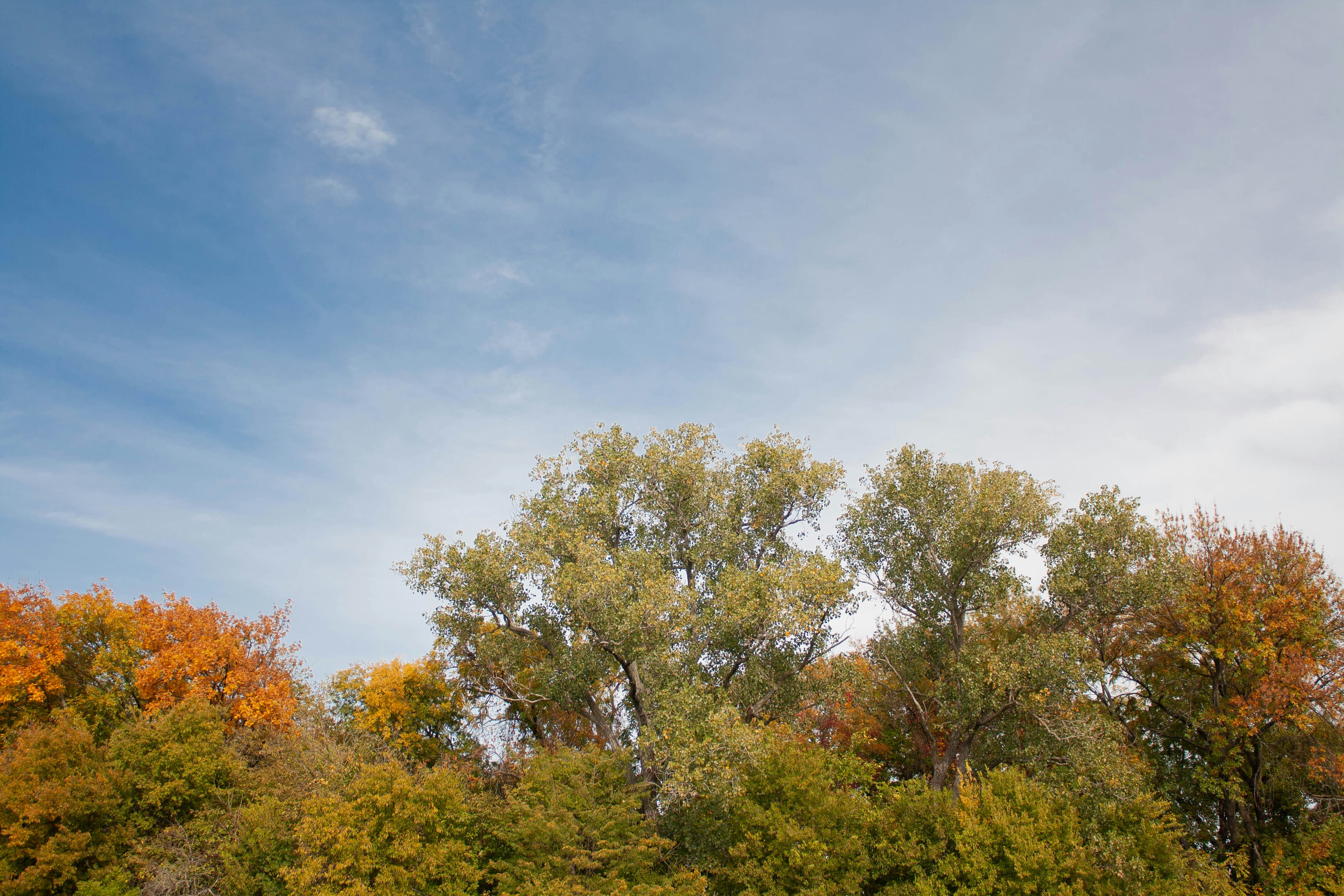 Photo by thelaibaali