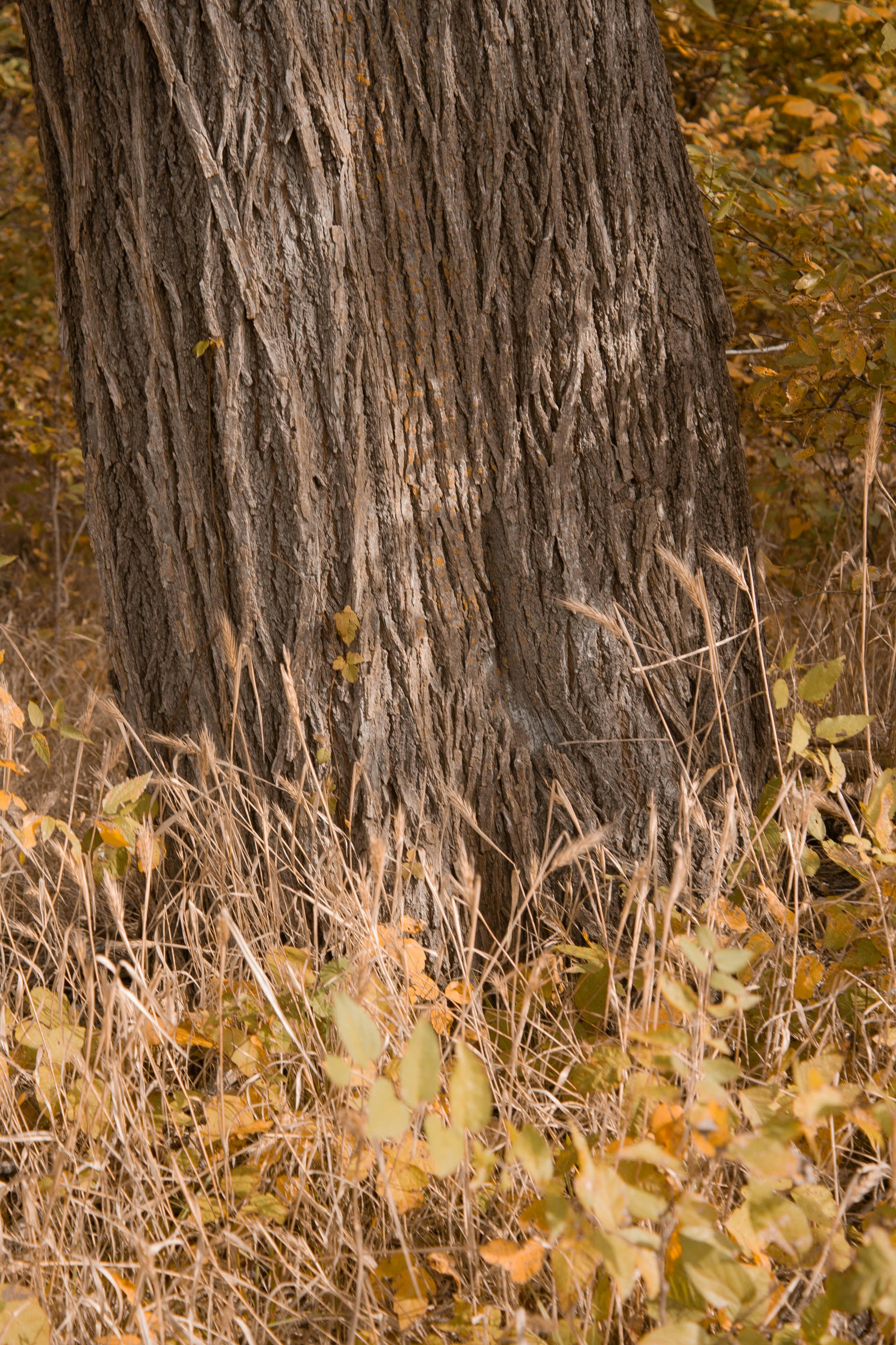 Photo by thelaibaali