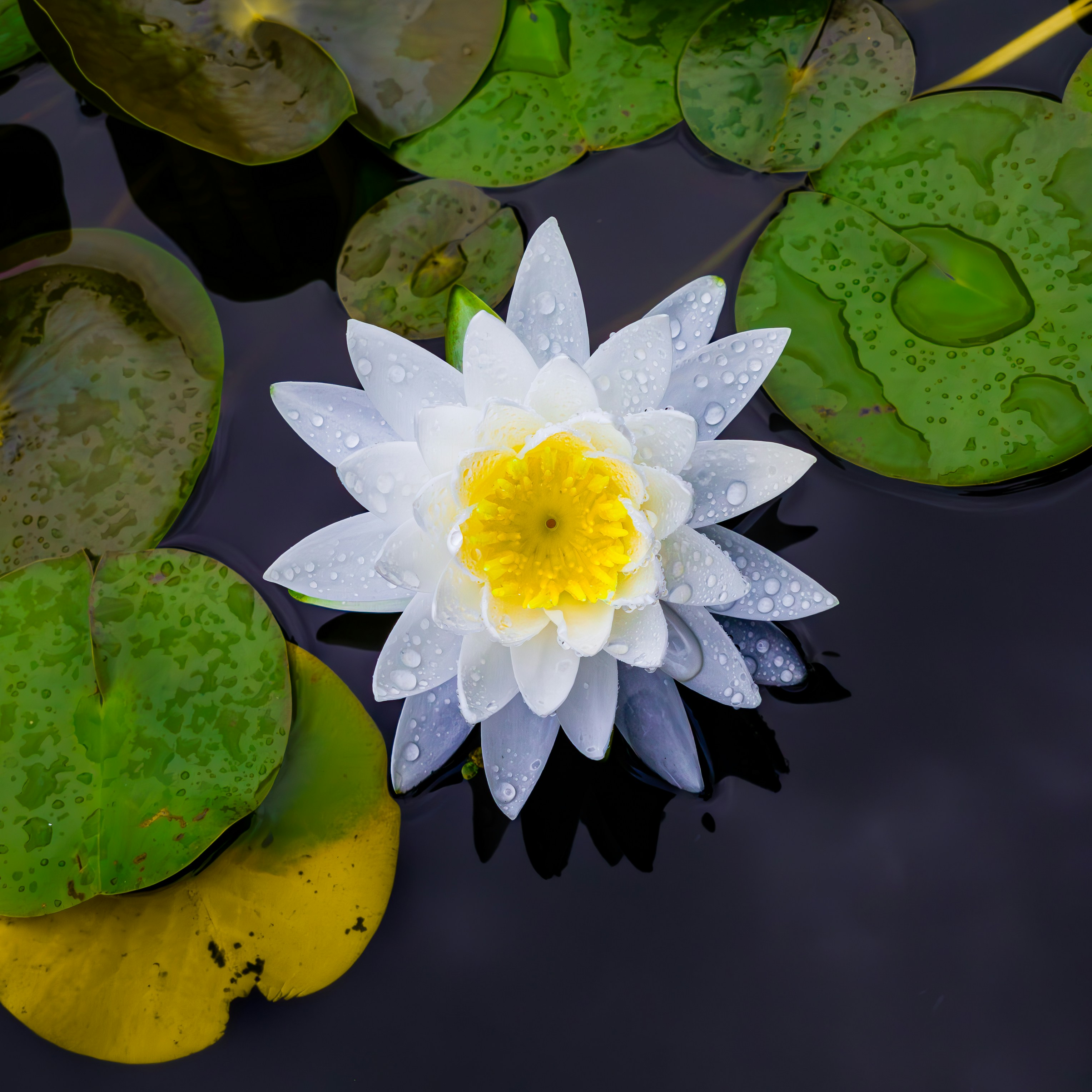 Photo by lingbo_huang