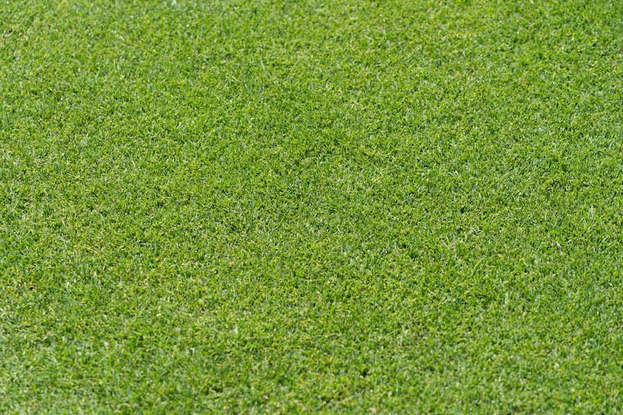 Or Brun Engrais Gazon Printemps Or Brun engrais et fertilisants