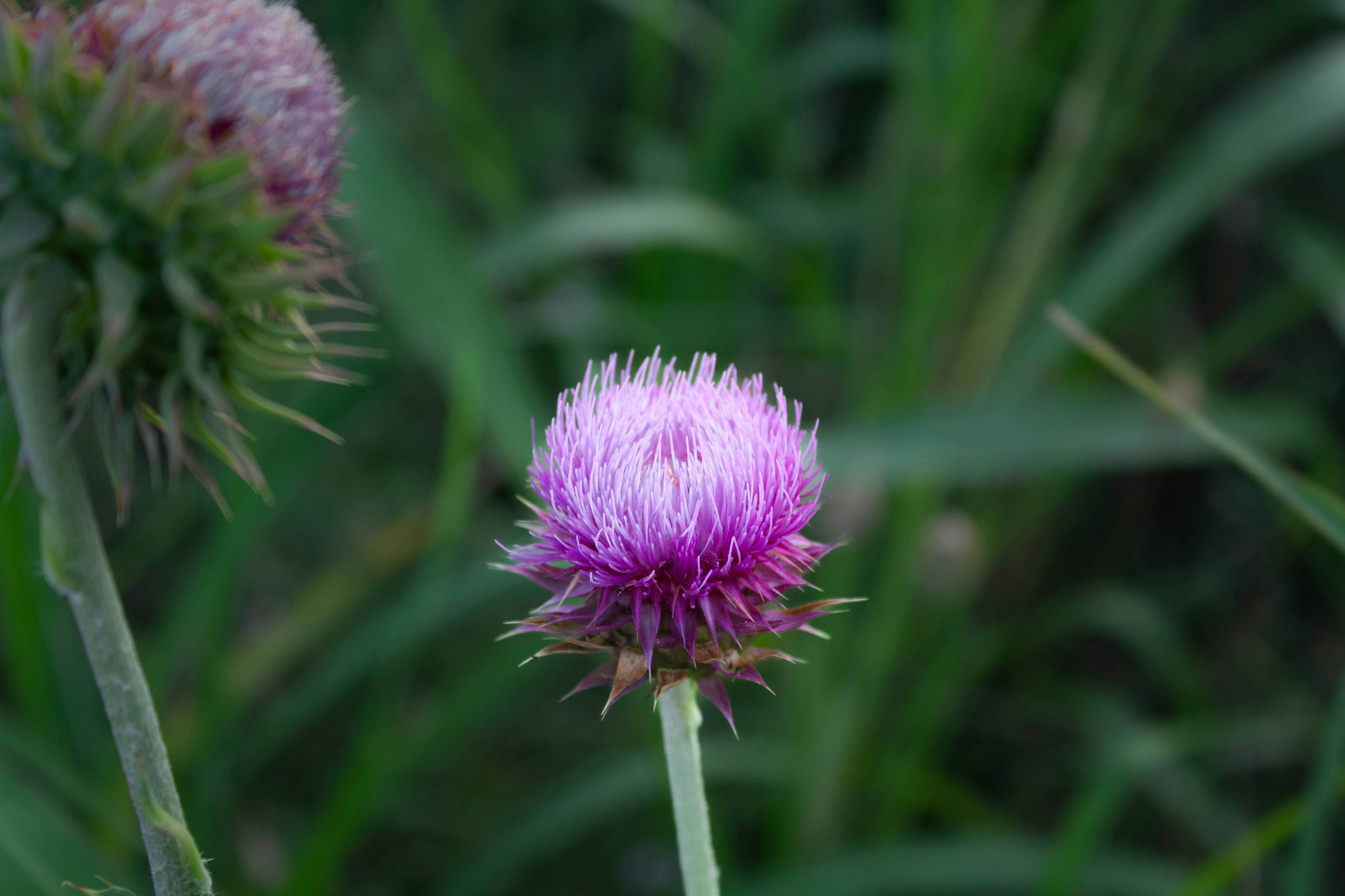 Photo by thelaibaali