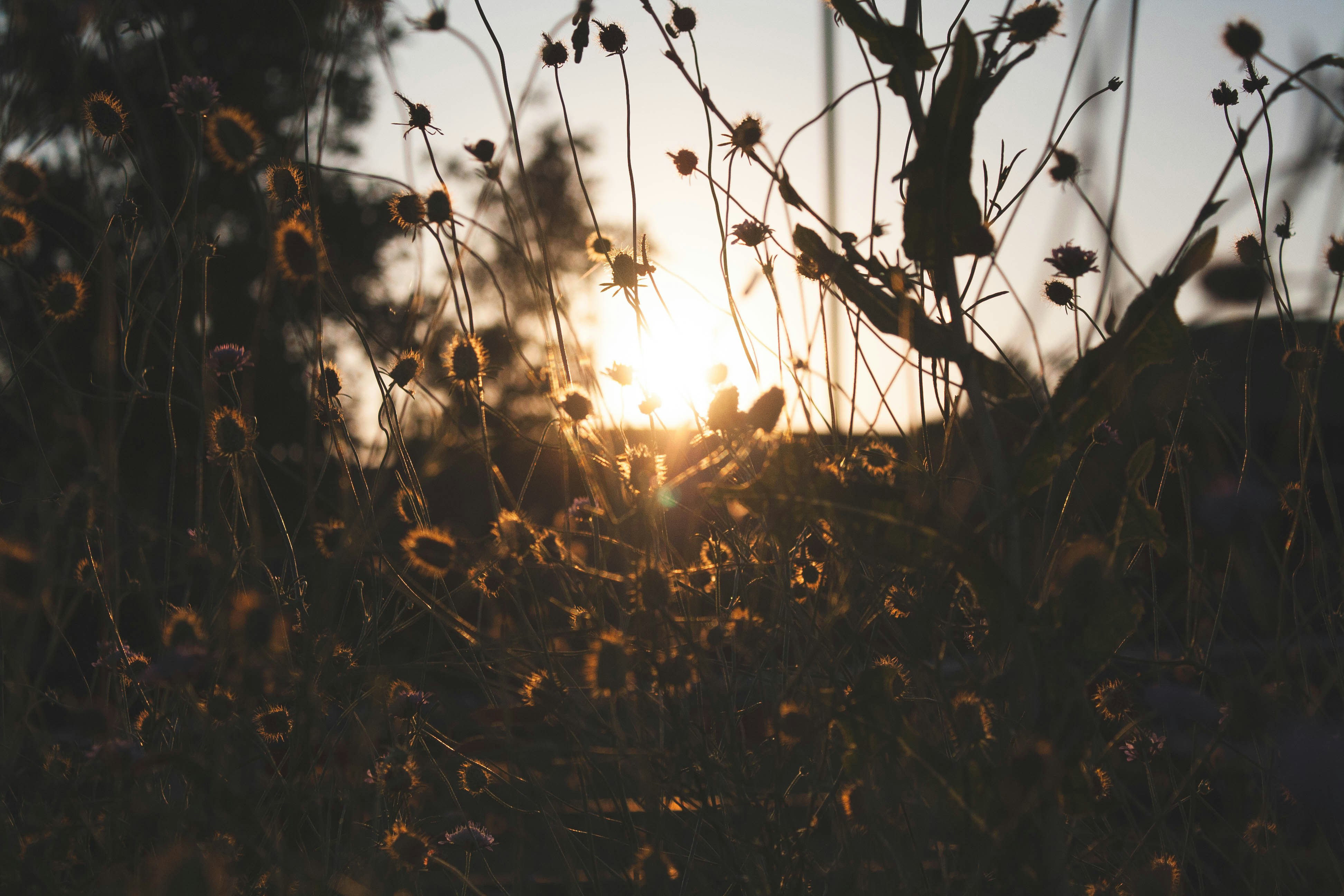 Photo by thelaibaali