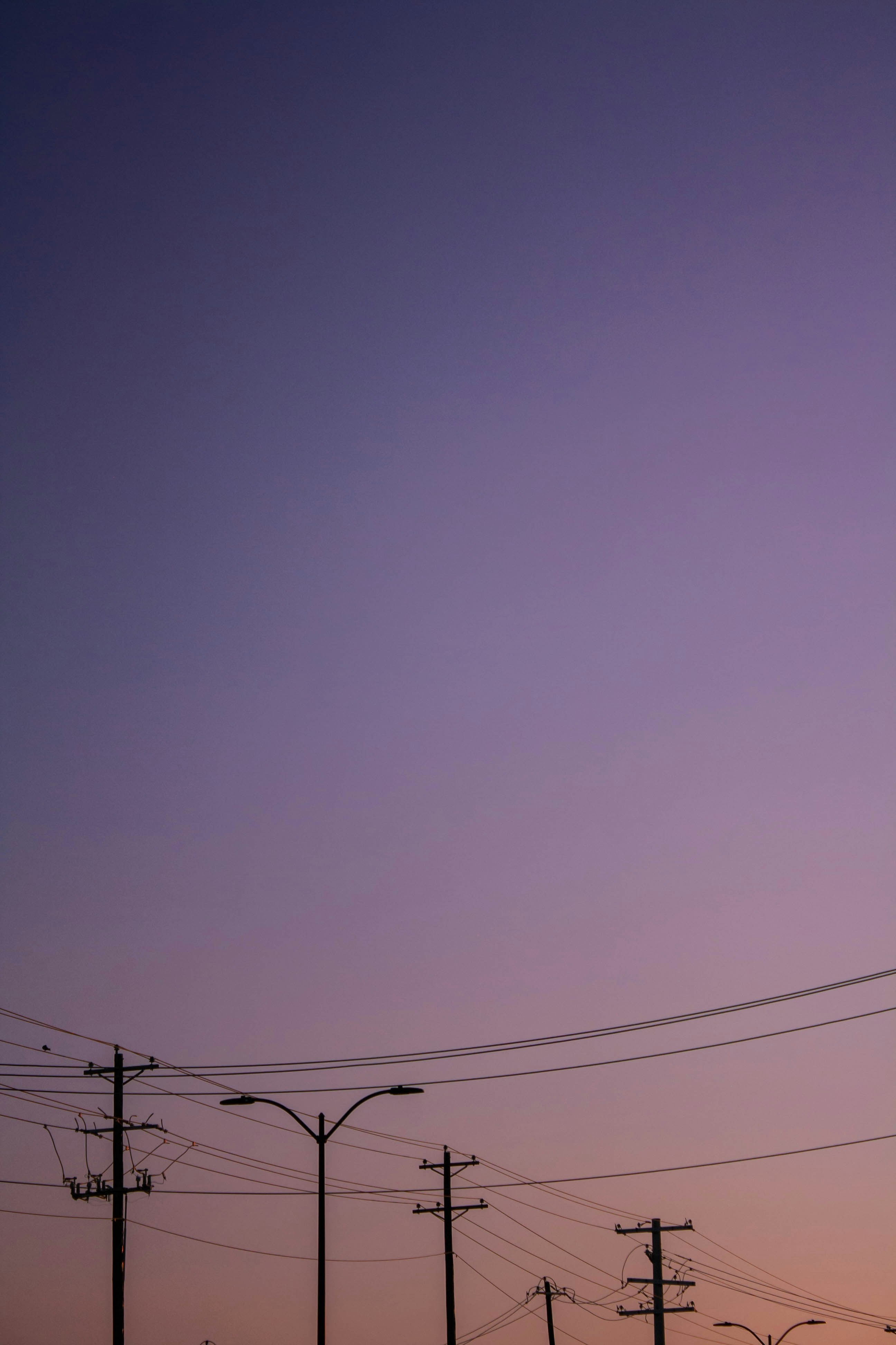 Photo by thelaibaali