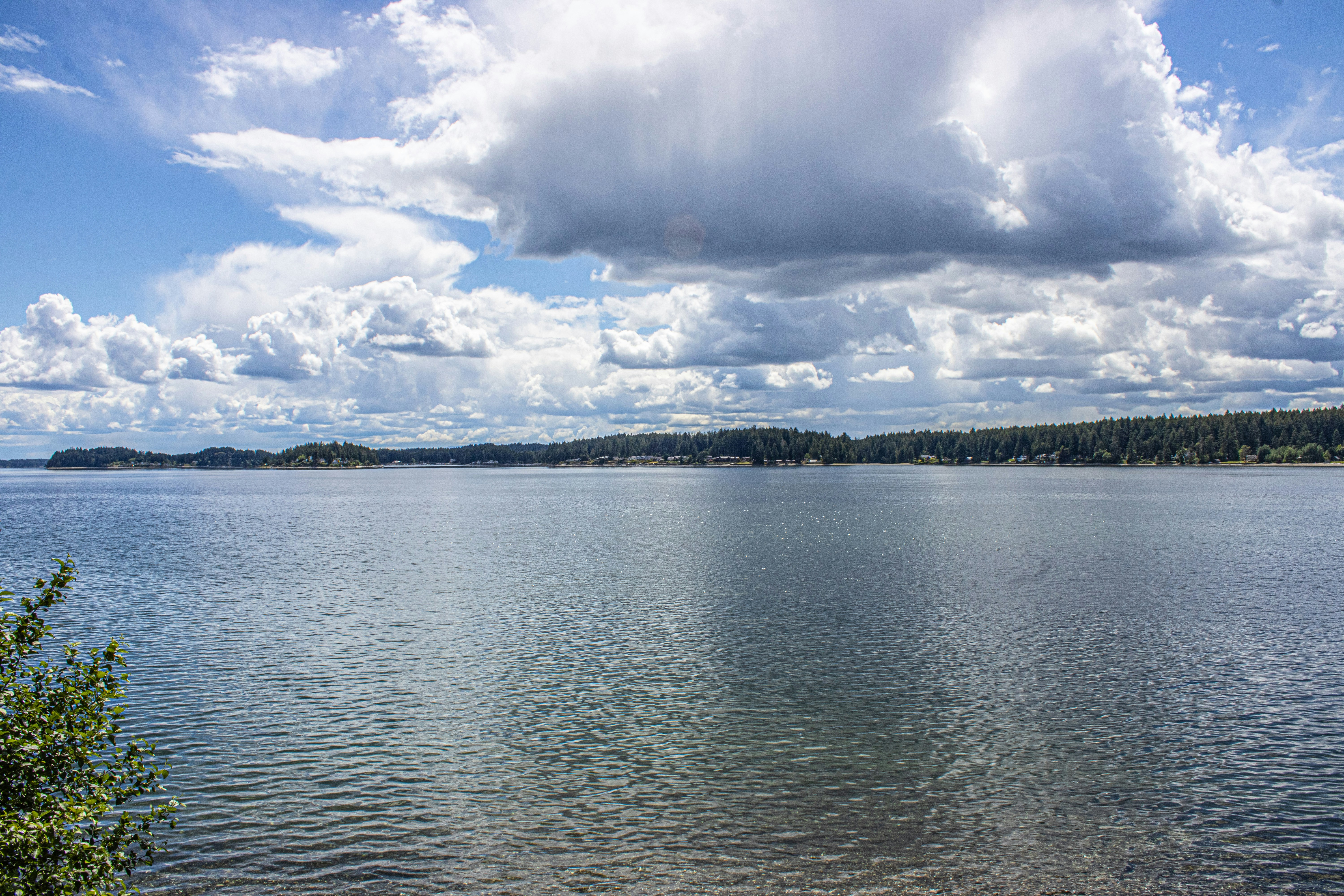 Photo by prphotography262