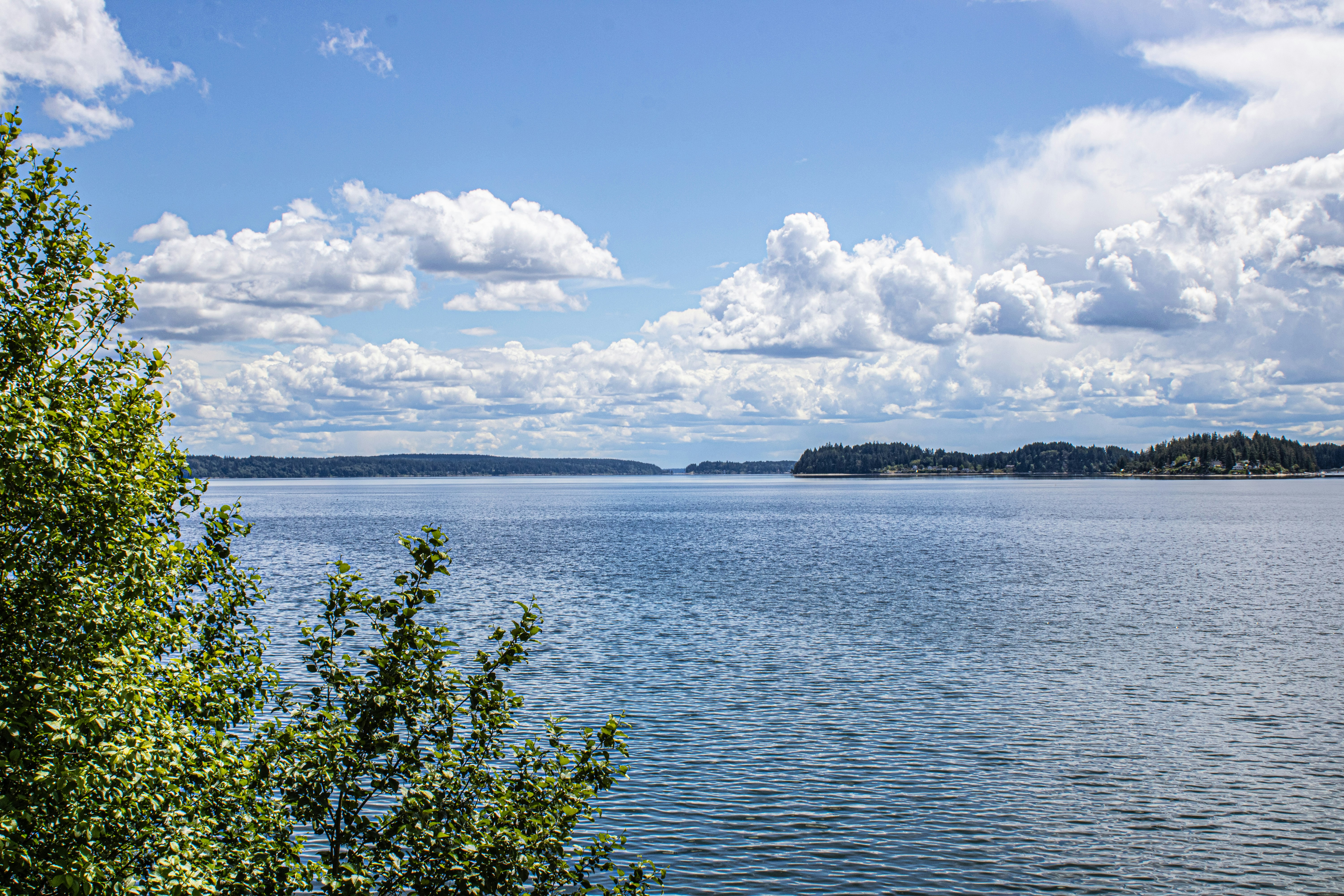 Photo by prphotography262