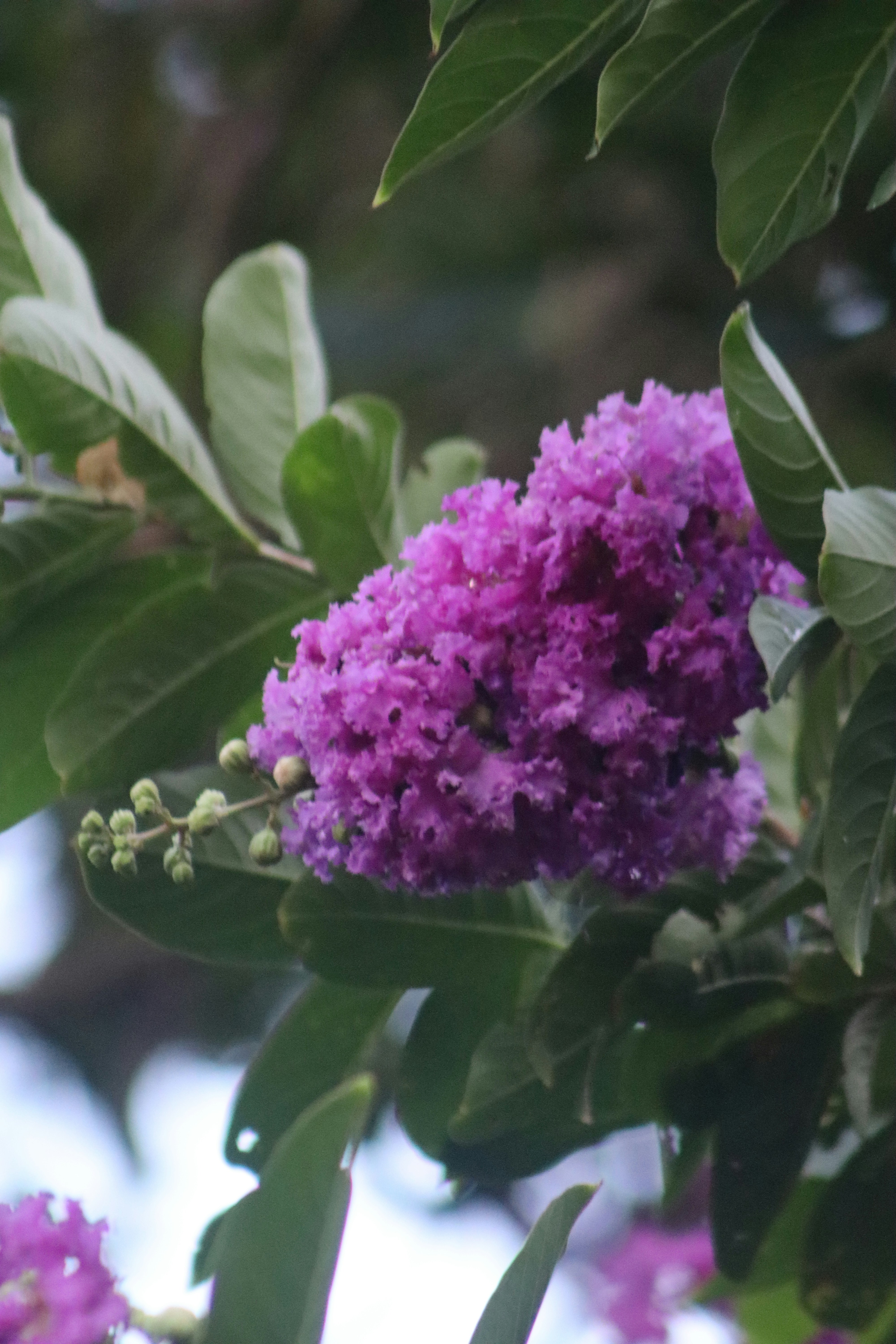 Photo by ajmul