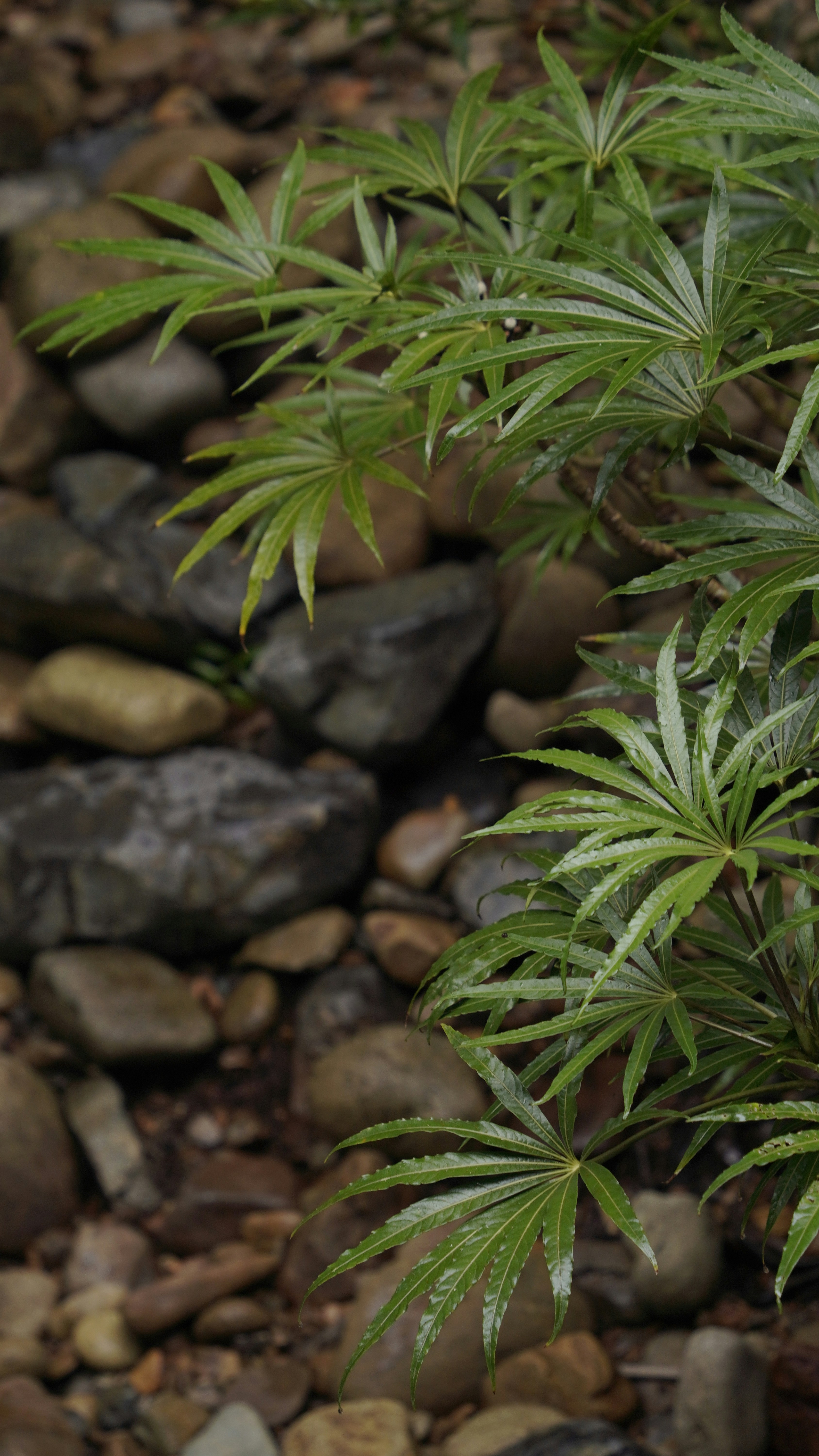 gray computer monitor