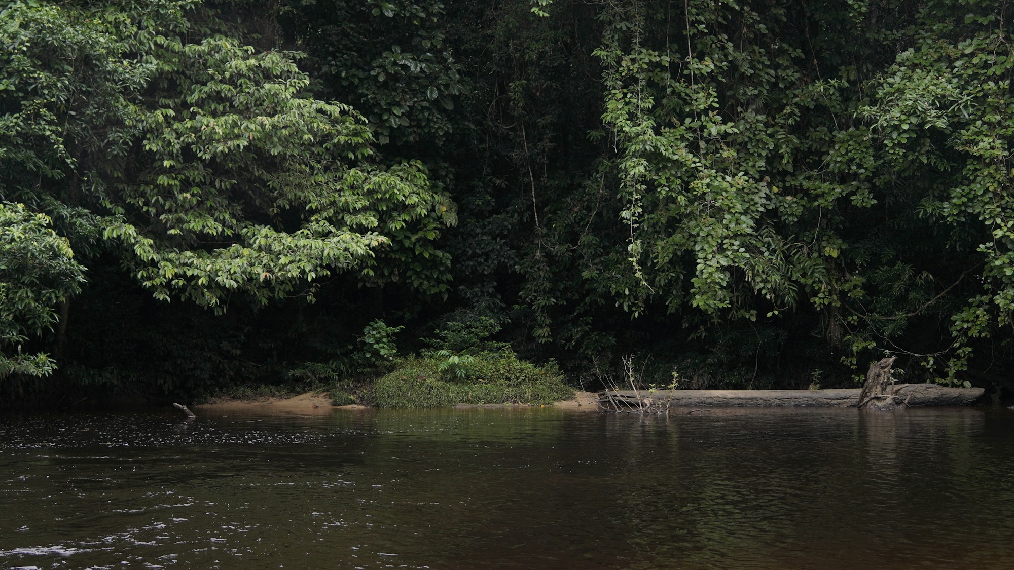 Best Time to Visit Berau: Weather, Seasons & Months