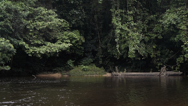 Best Time to Visit Berau: Weather, Seasons & Months