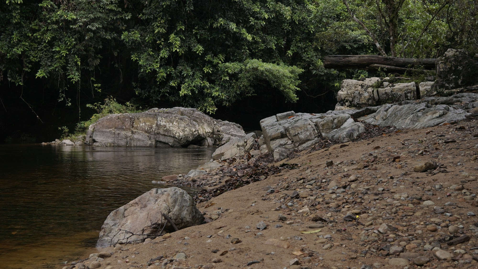 Discover Berau: A Comprehensive Travel Guide