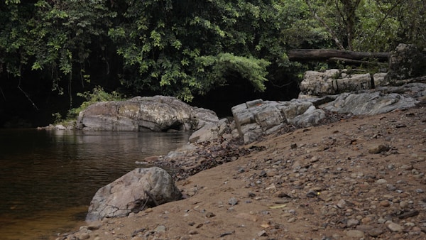 Discover Berau: A Comprehensive Travel Guide