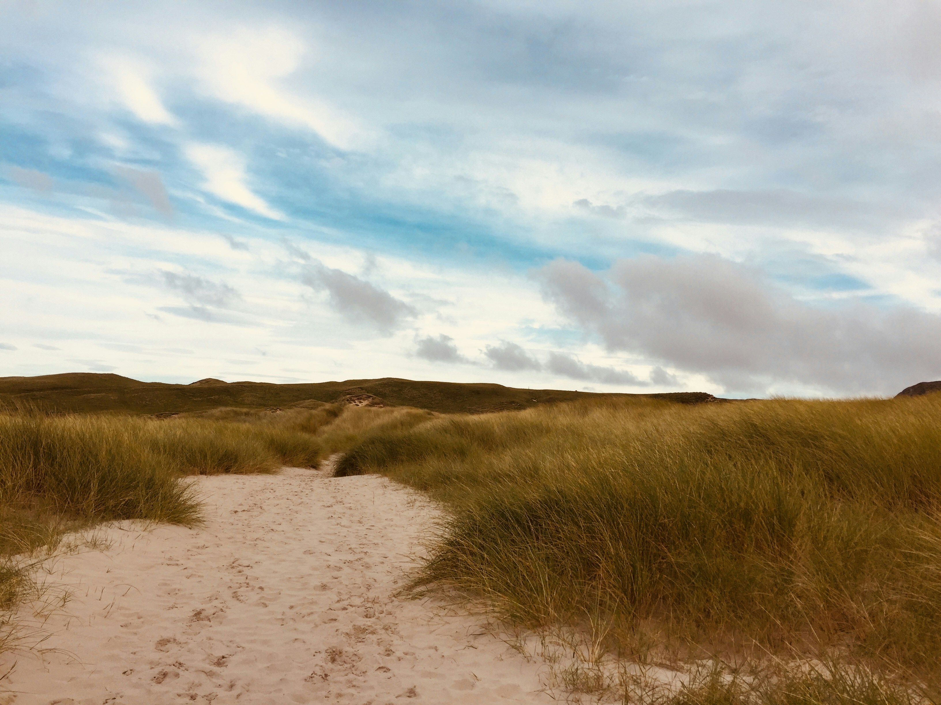 Photo by milasaislinn