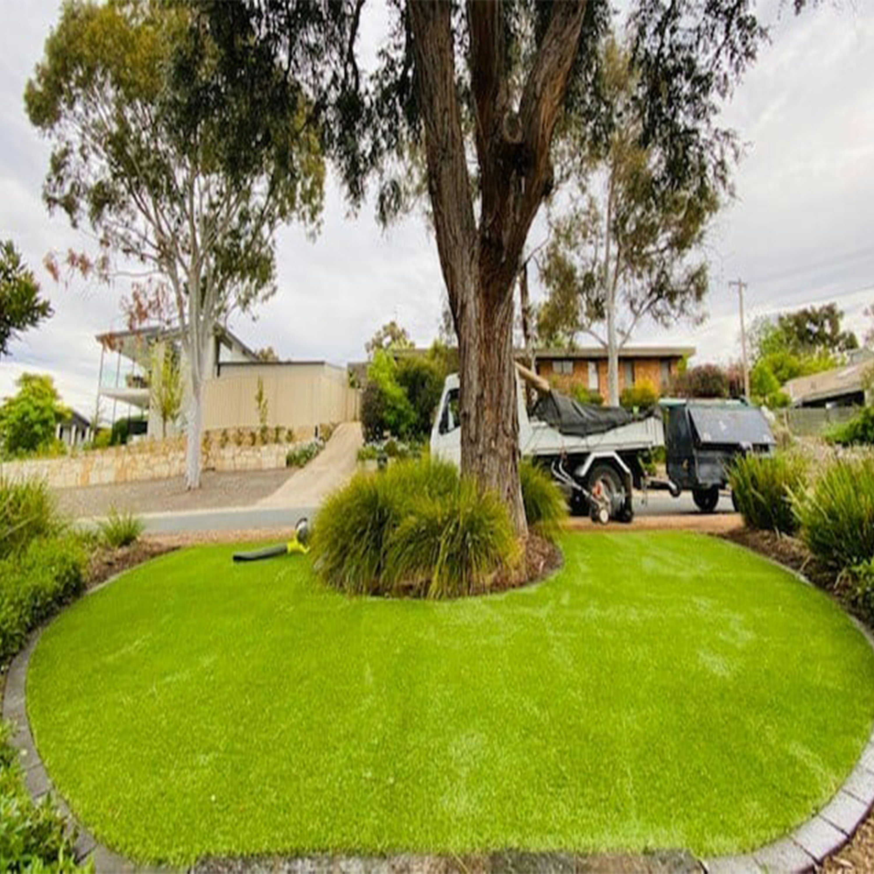 Freshly mowed lawn beside a commercial parking area