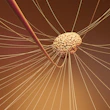 A computer generated image of a human brain