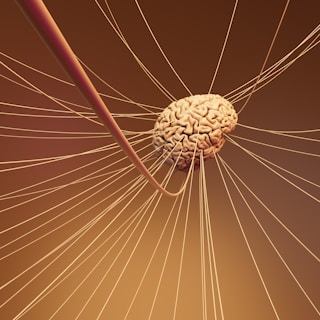 النظام العصبي