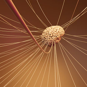 A computer generated image of a human brain
