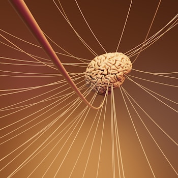 A computer generated image of a human brain